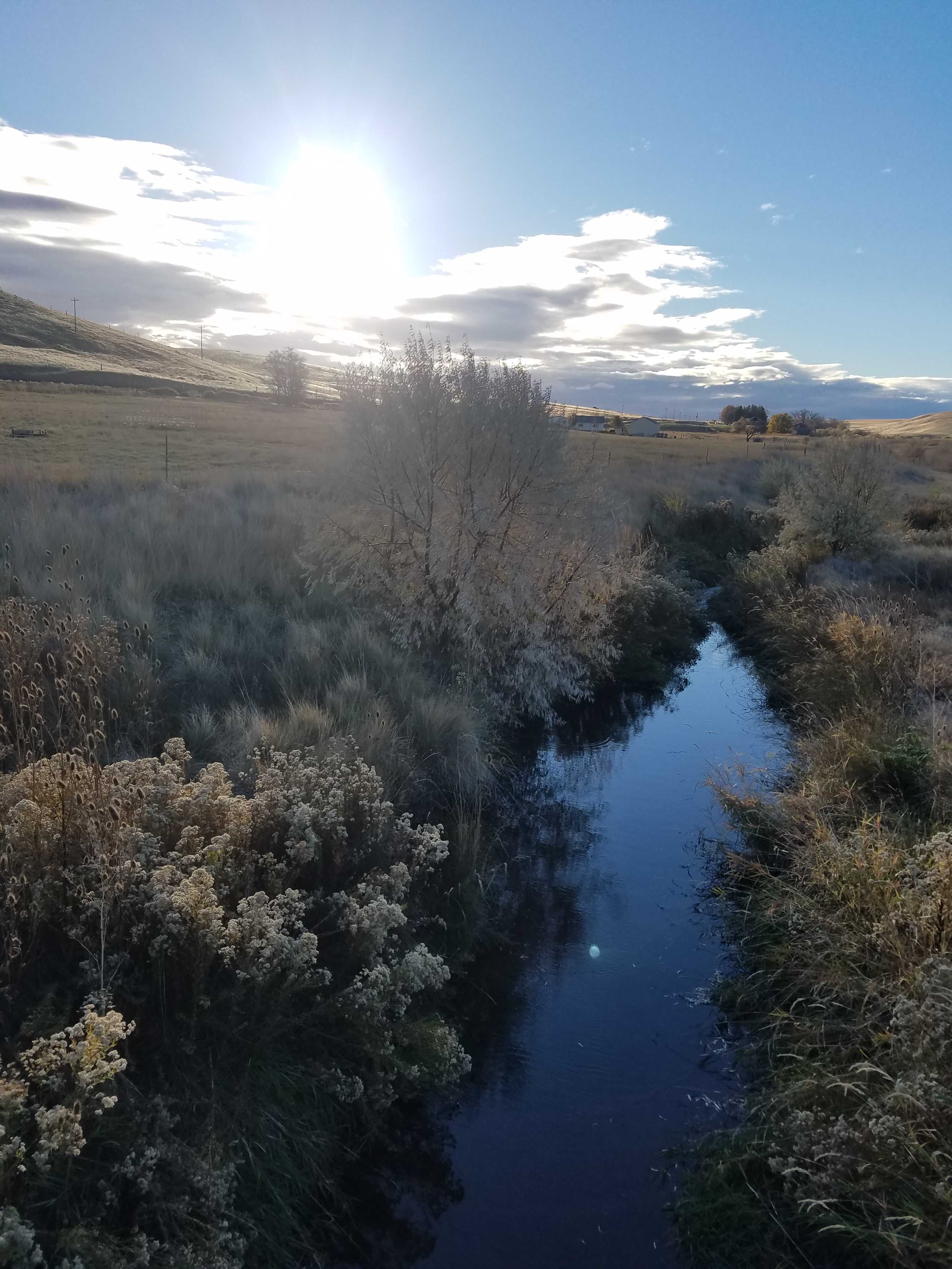 This is Willow Creek,  it flows through the ranch and under the bridge as you drive in.  You can fish or just enjoy the quiet.