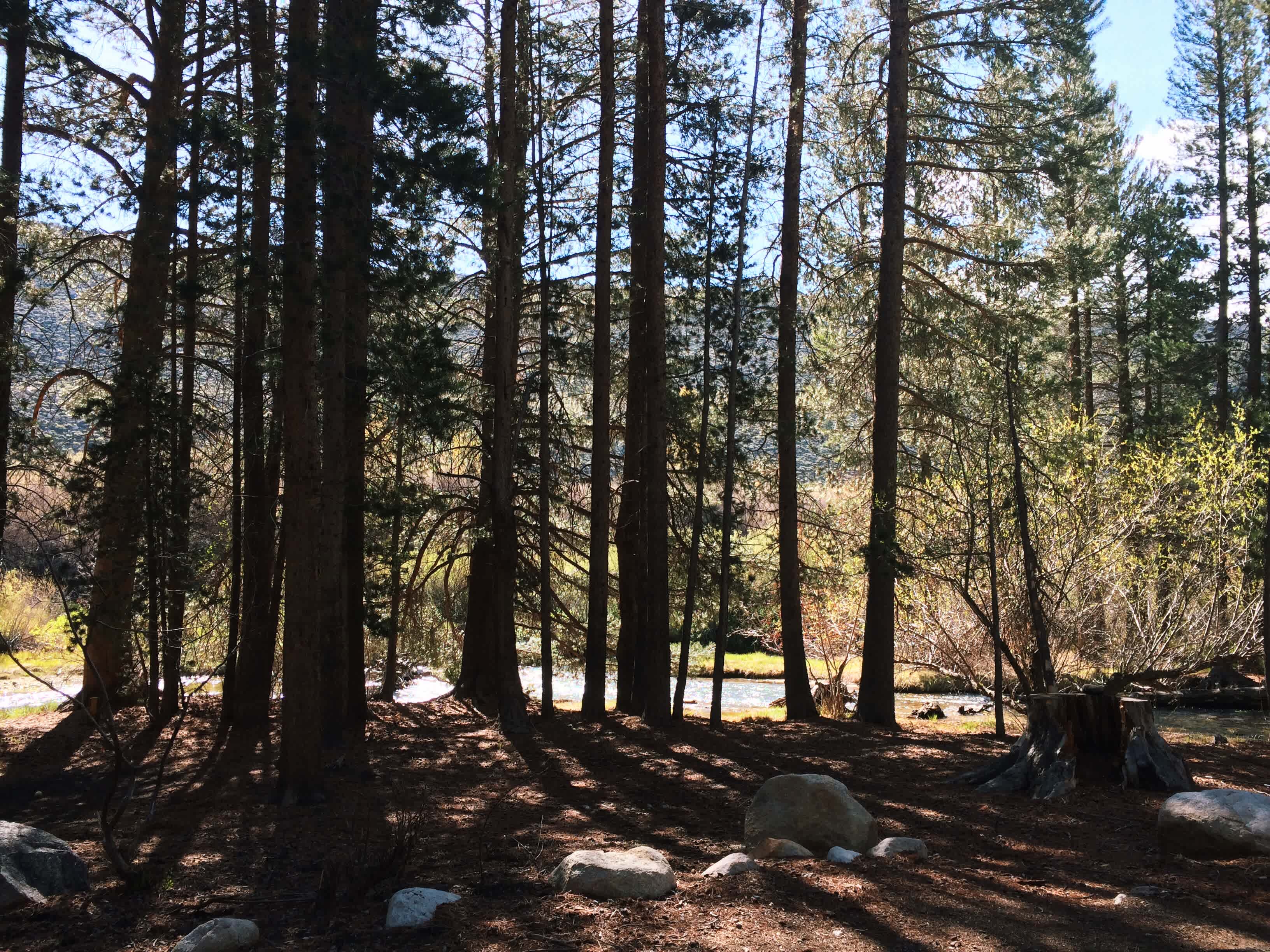 Robinson Creek North Campground