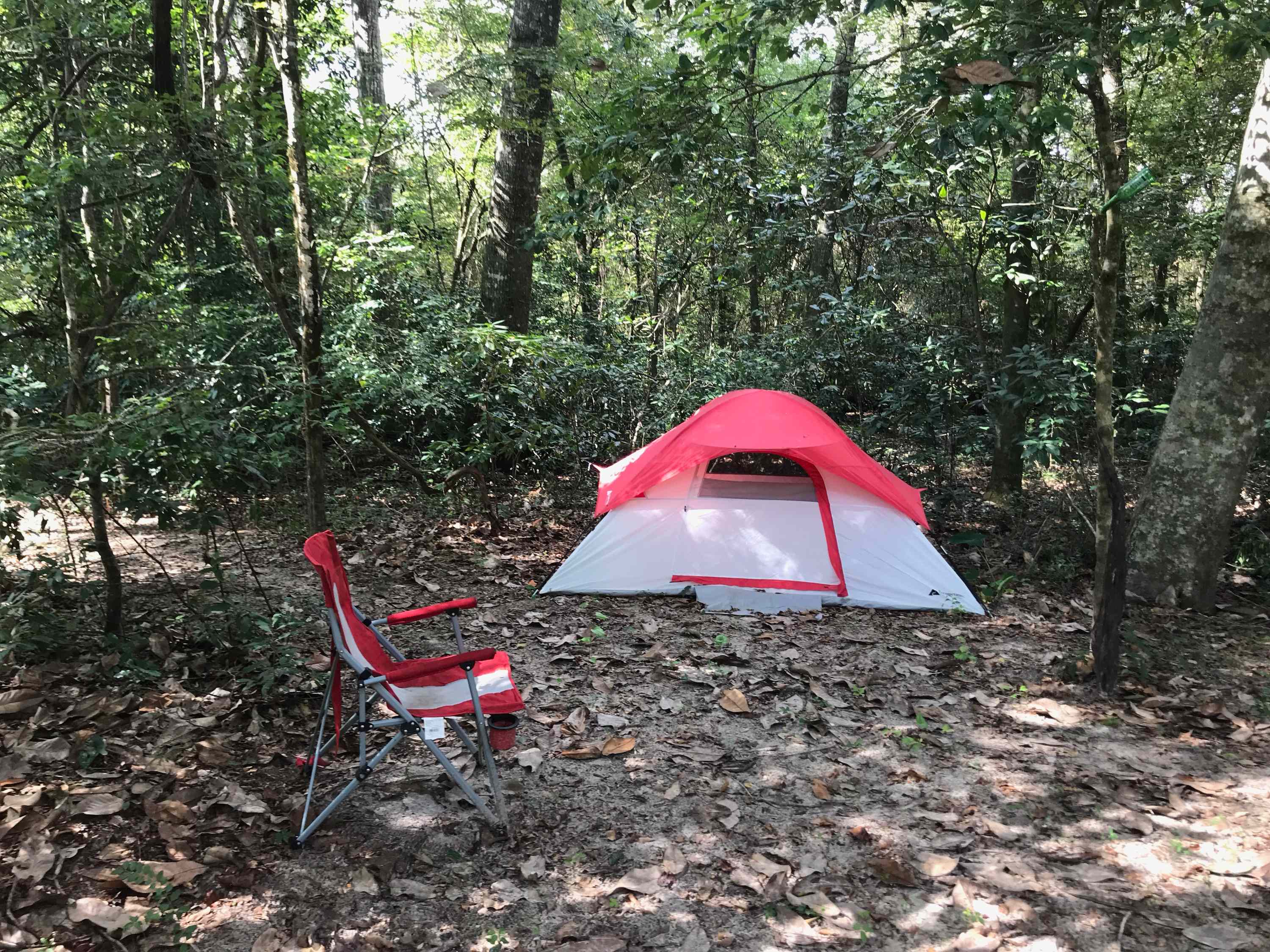 At Camp Topisaw you'll be surrounded by nature. Enjoy camping in the woods or on a sandbar along the creek. Spend your days hiking the trails, playing in the creek or hunting for rocks and fossils. This photo was taken at Site 5.