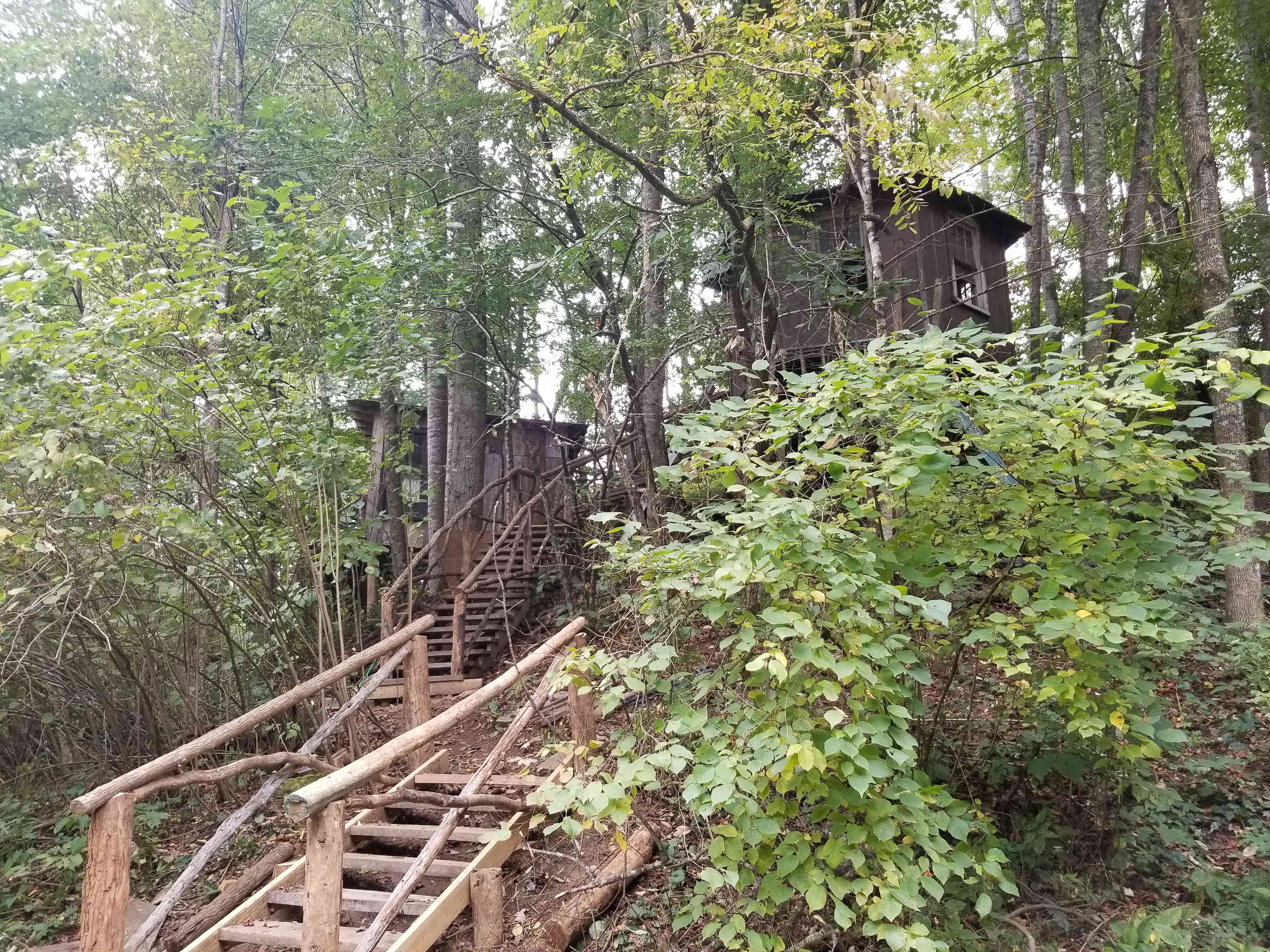 Healing Springs