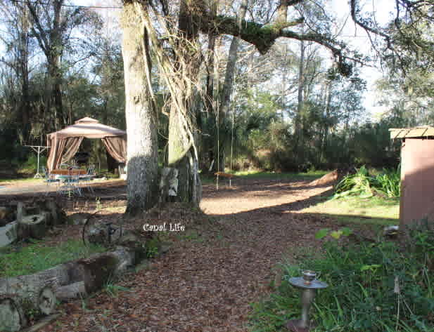 Walkway from driveway to tenting area 