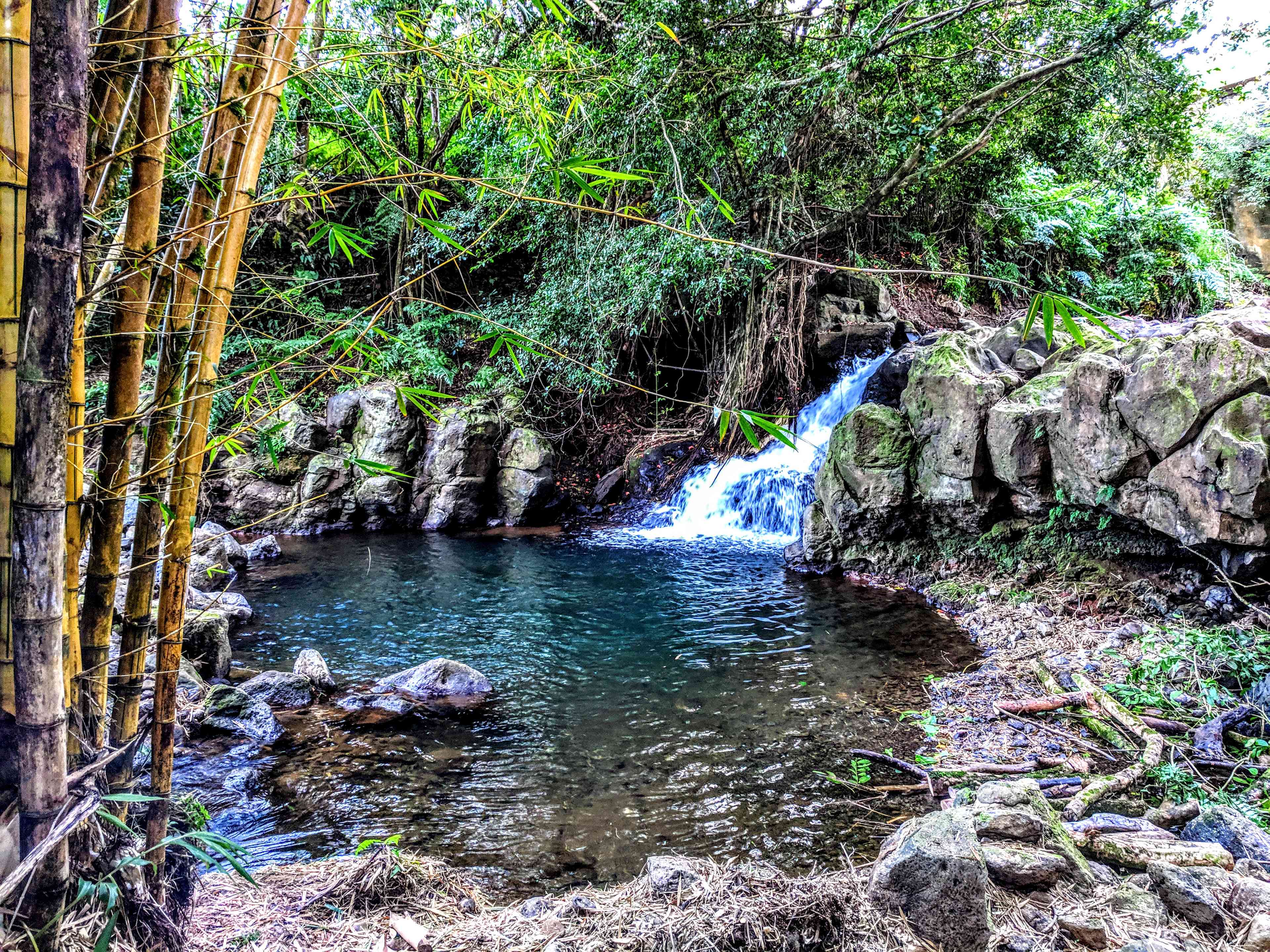 Waterfall swimming area on the property.  The swimming area is shared with other rentals.