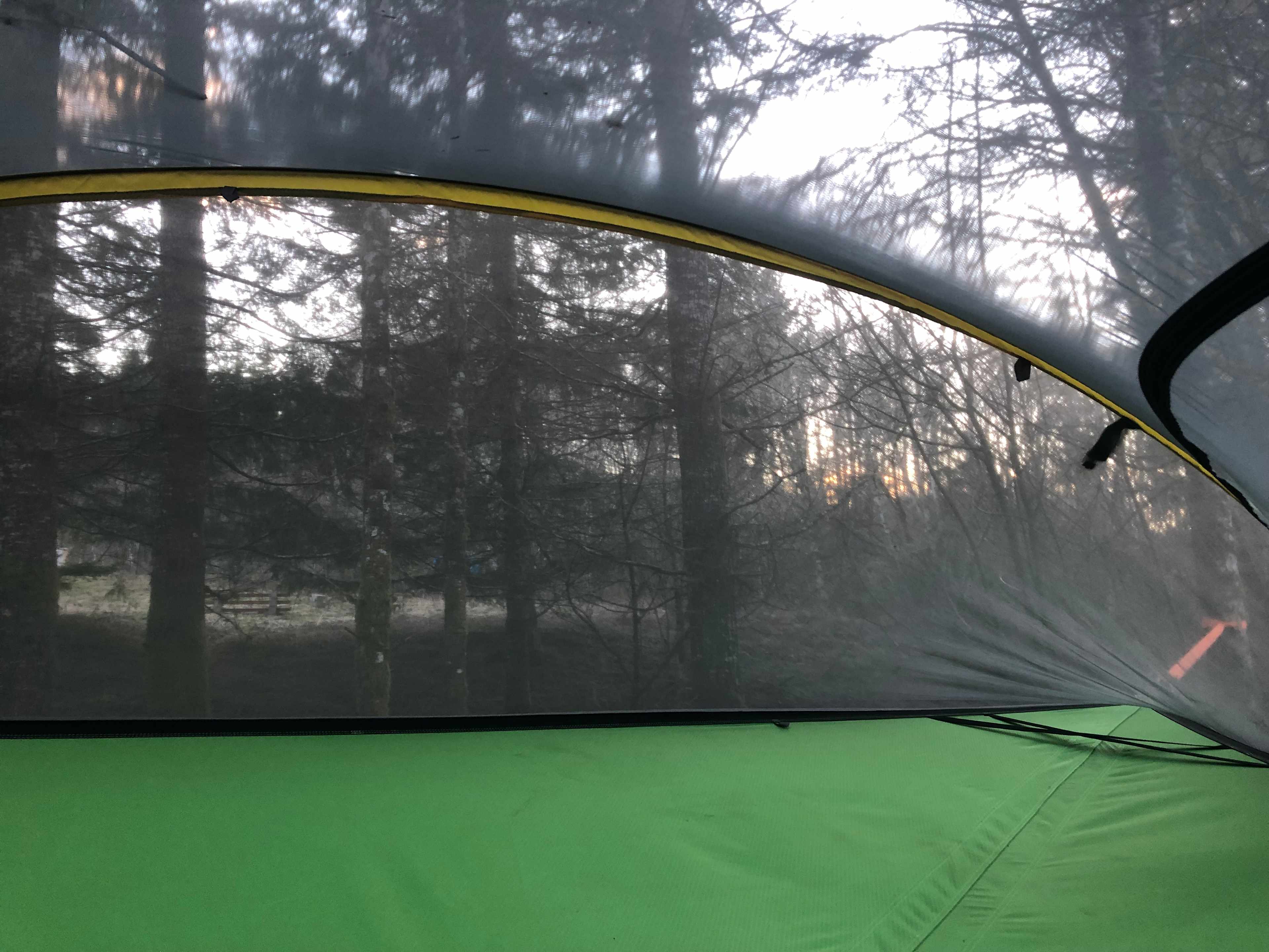 View from inside the tree tent.