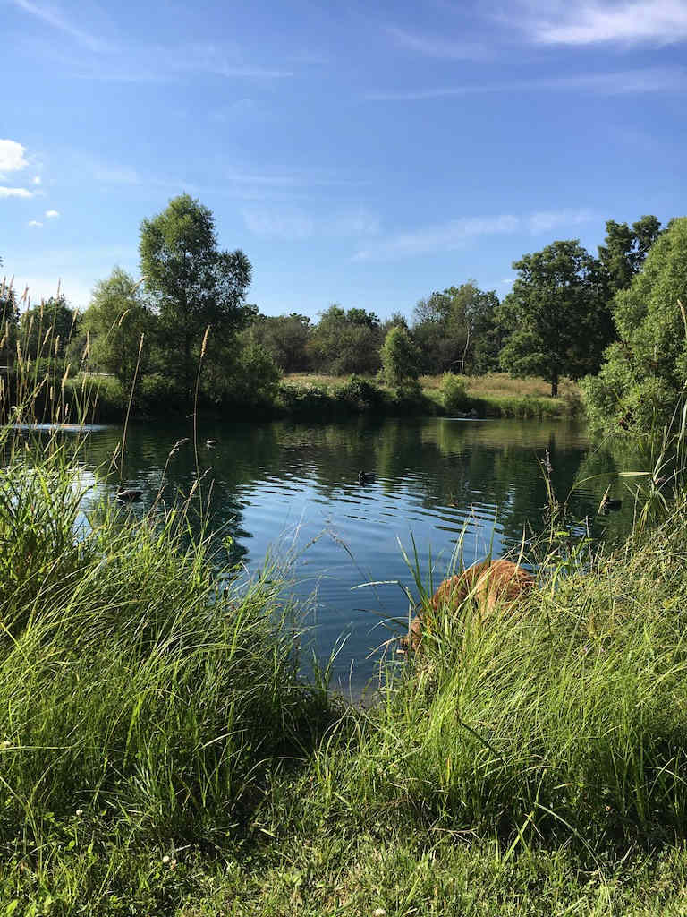 The larger basin of the pond, perfect for swimming, floating or just listening to the bullfrogs.  