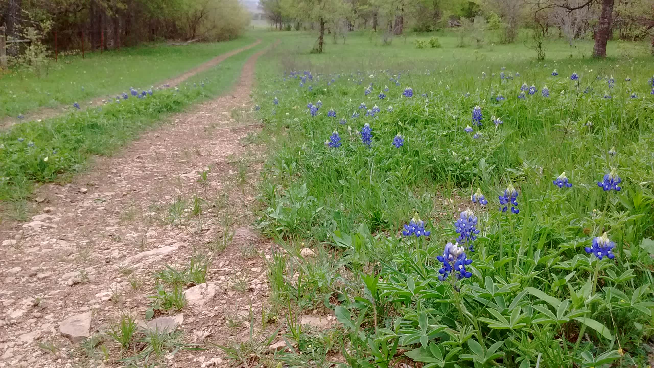 36 ACRE R.V. ESCAPE