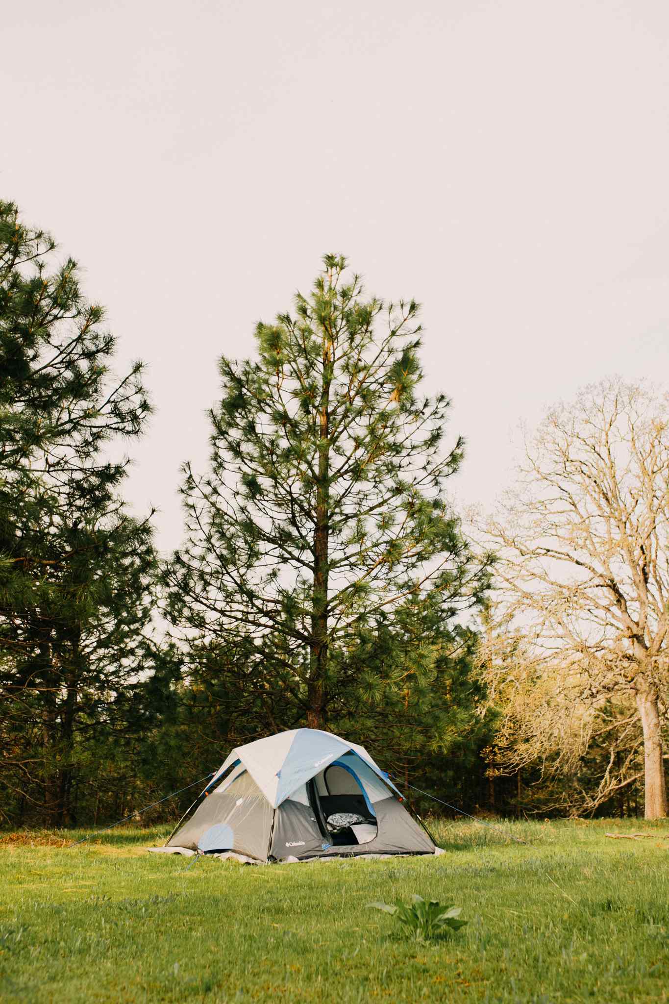 Our spot