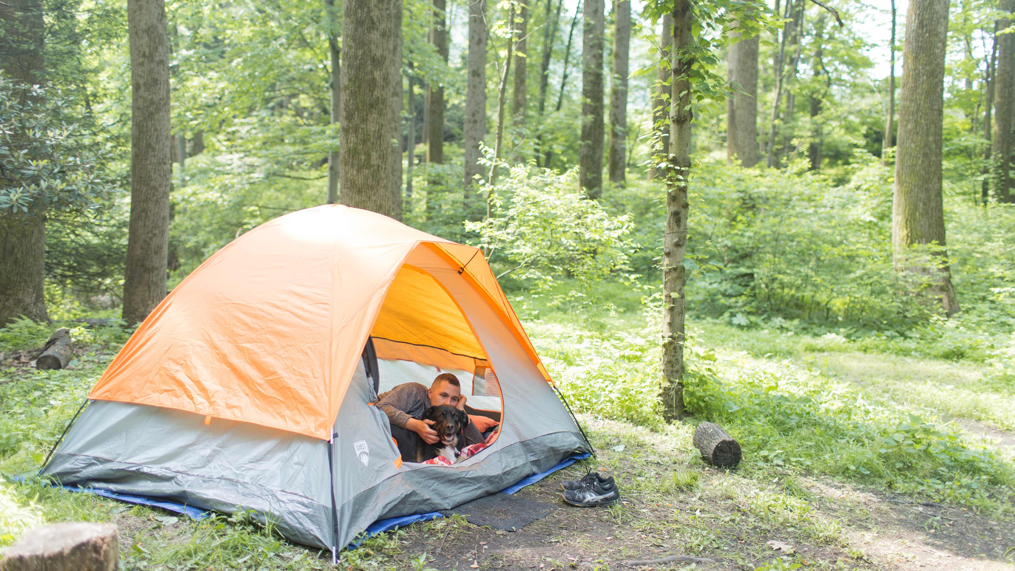 The space is so peaceful, it is hard to not sleep in all day.
