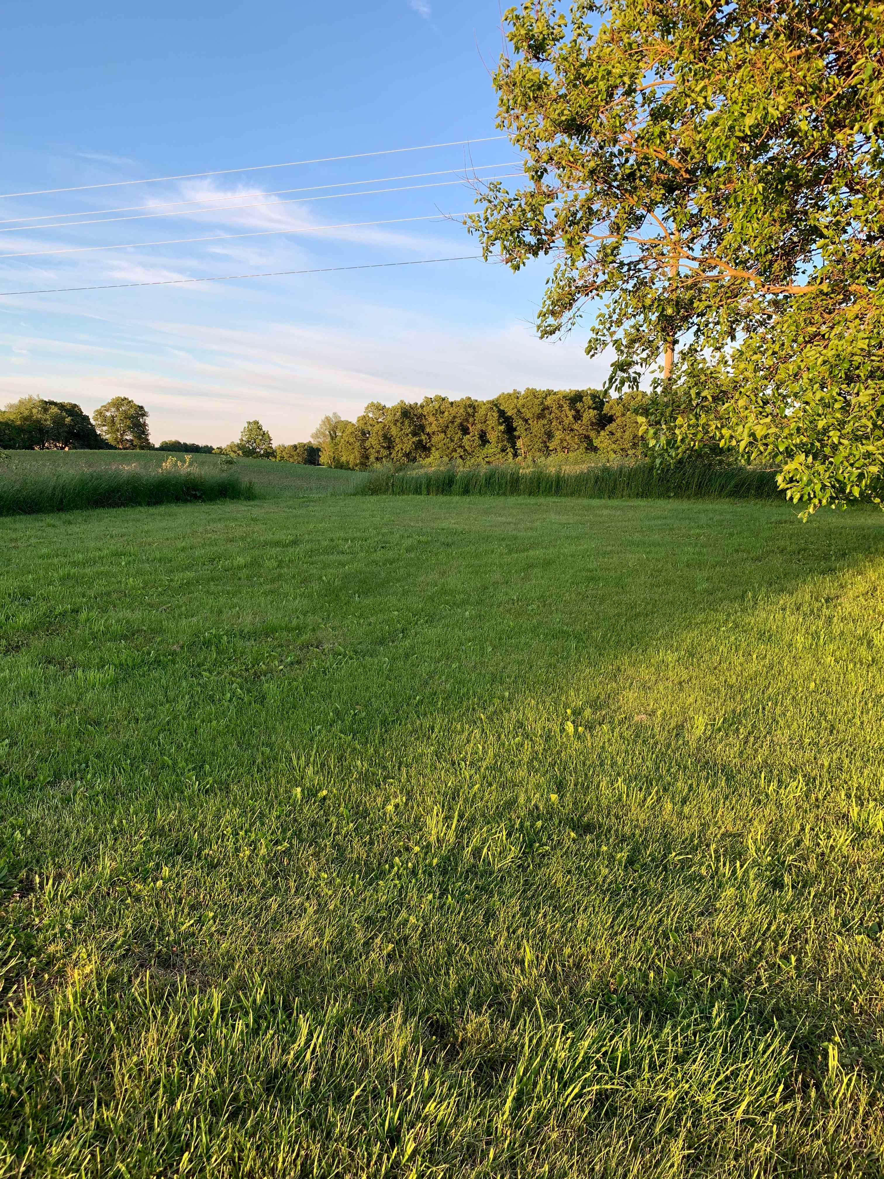 Camp area