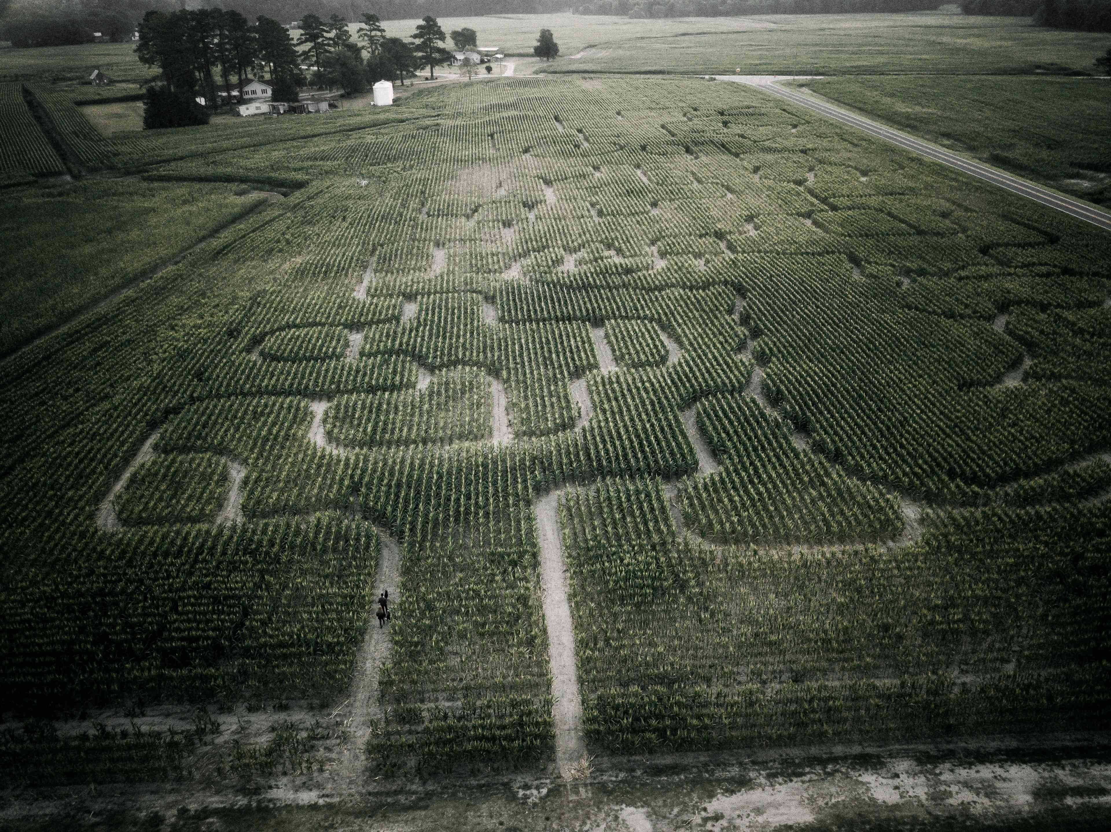 Bright Star Farm