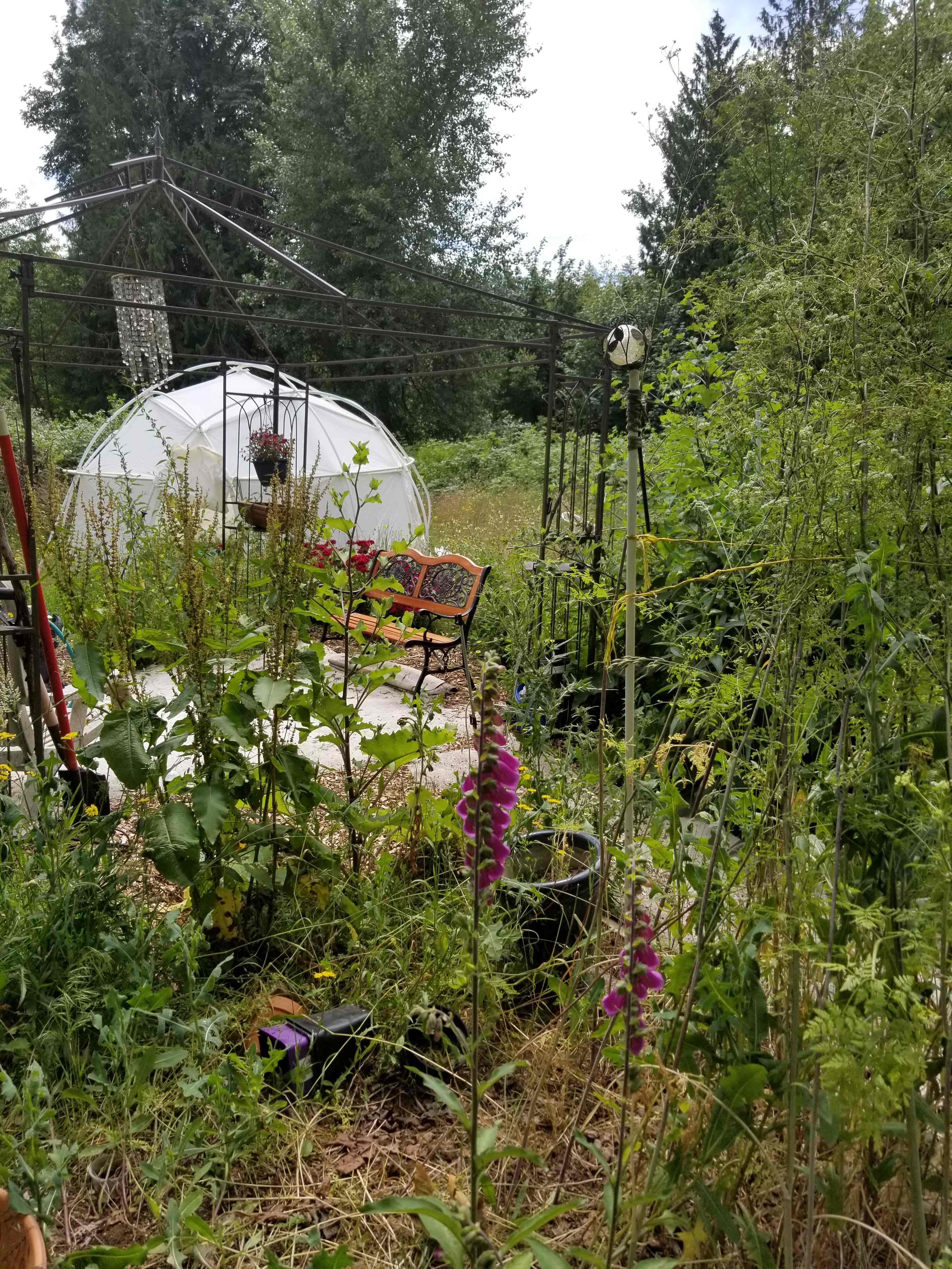 Campsite