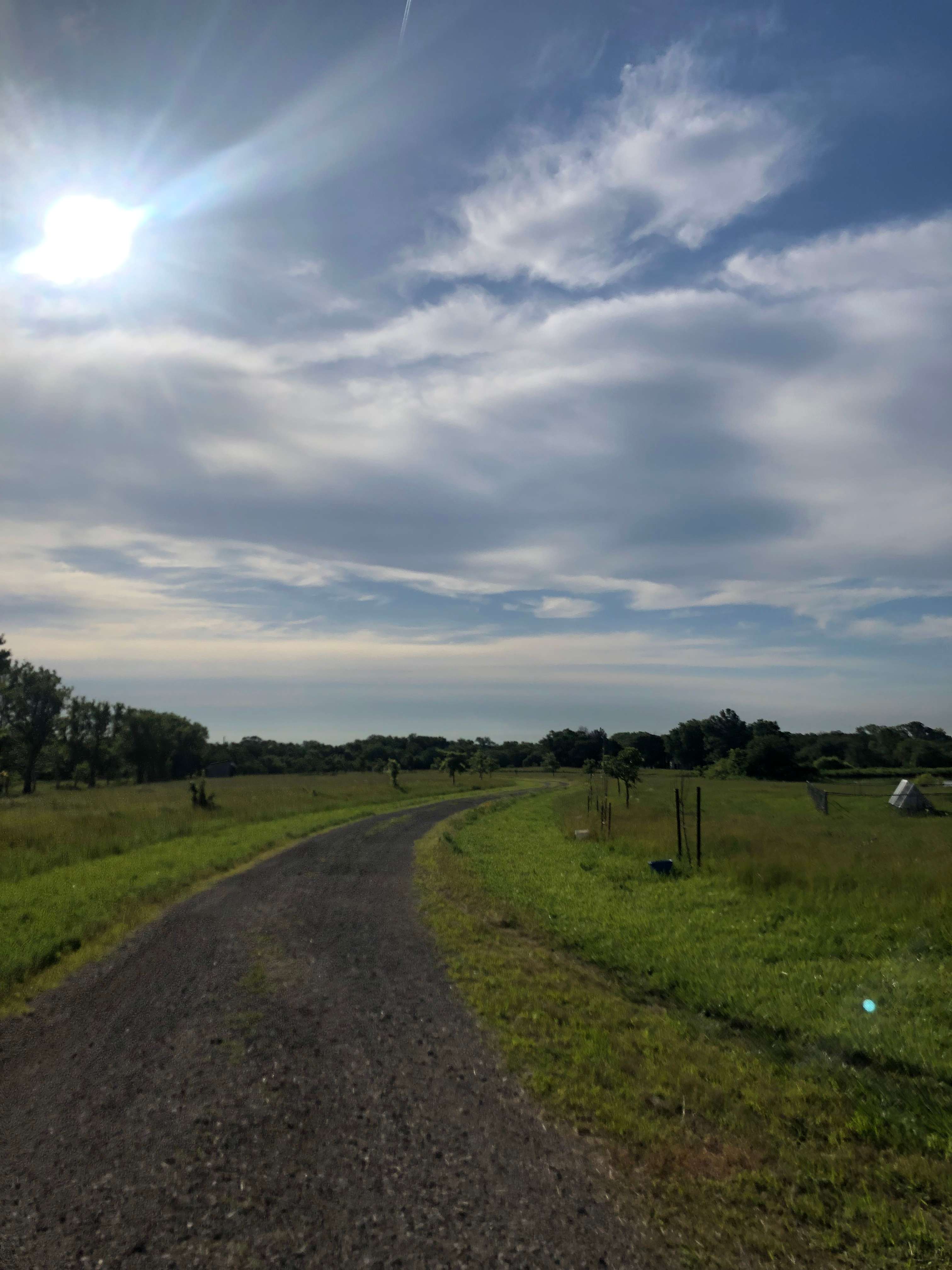 Bare Ass Acres