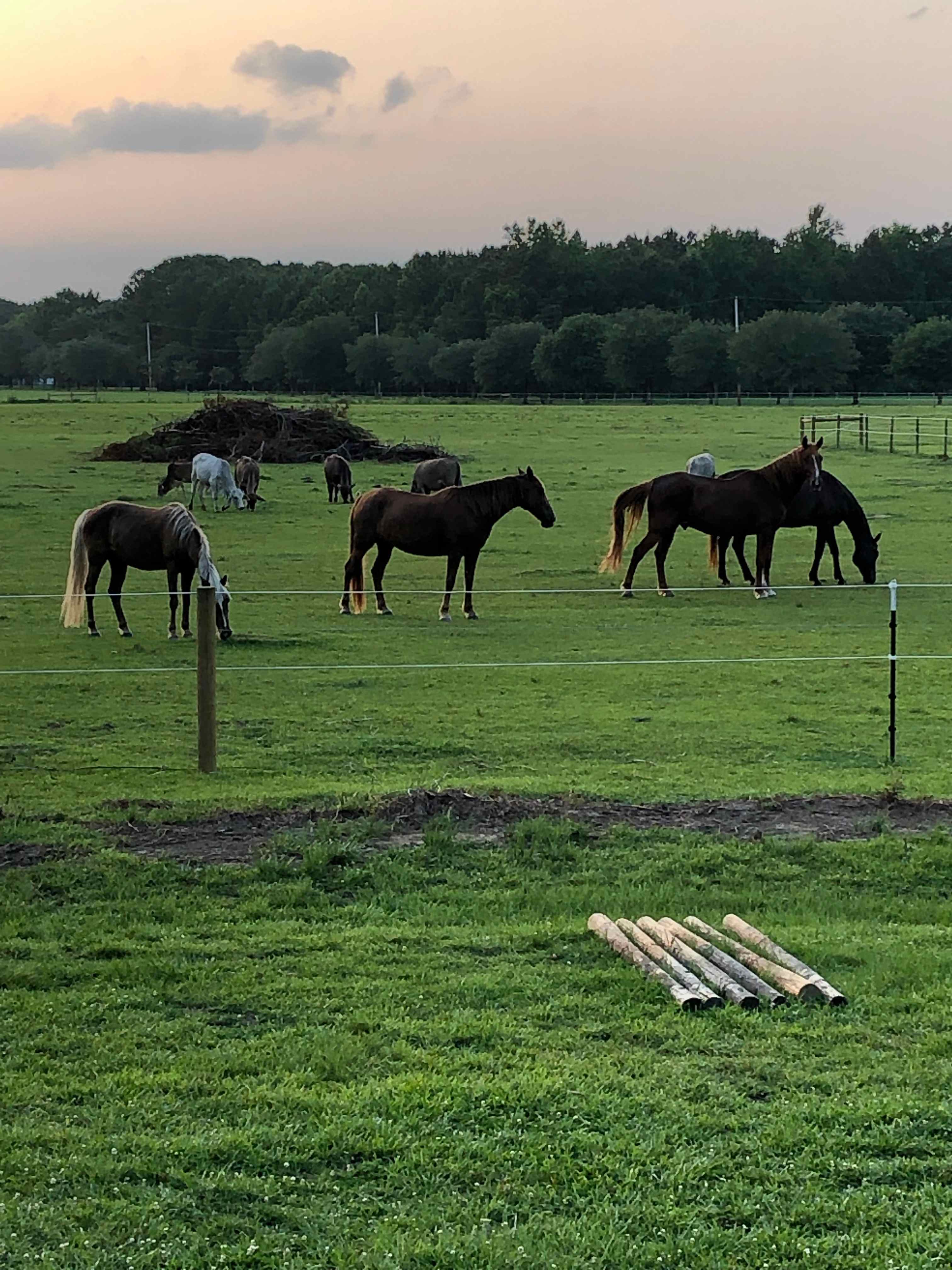 Thompson Farm