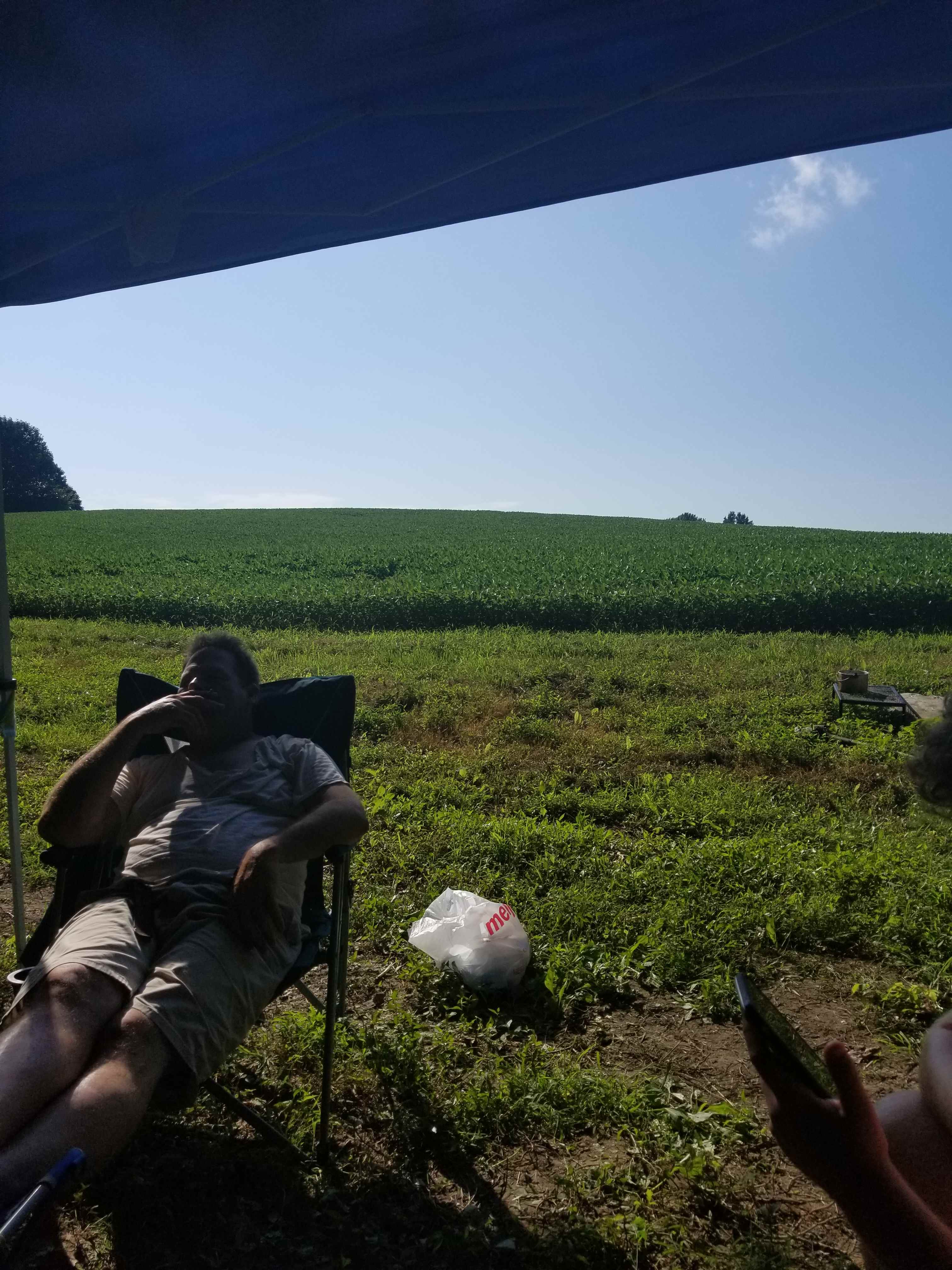 On the back of the farm