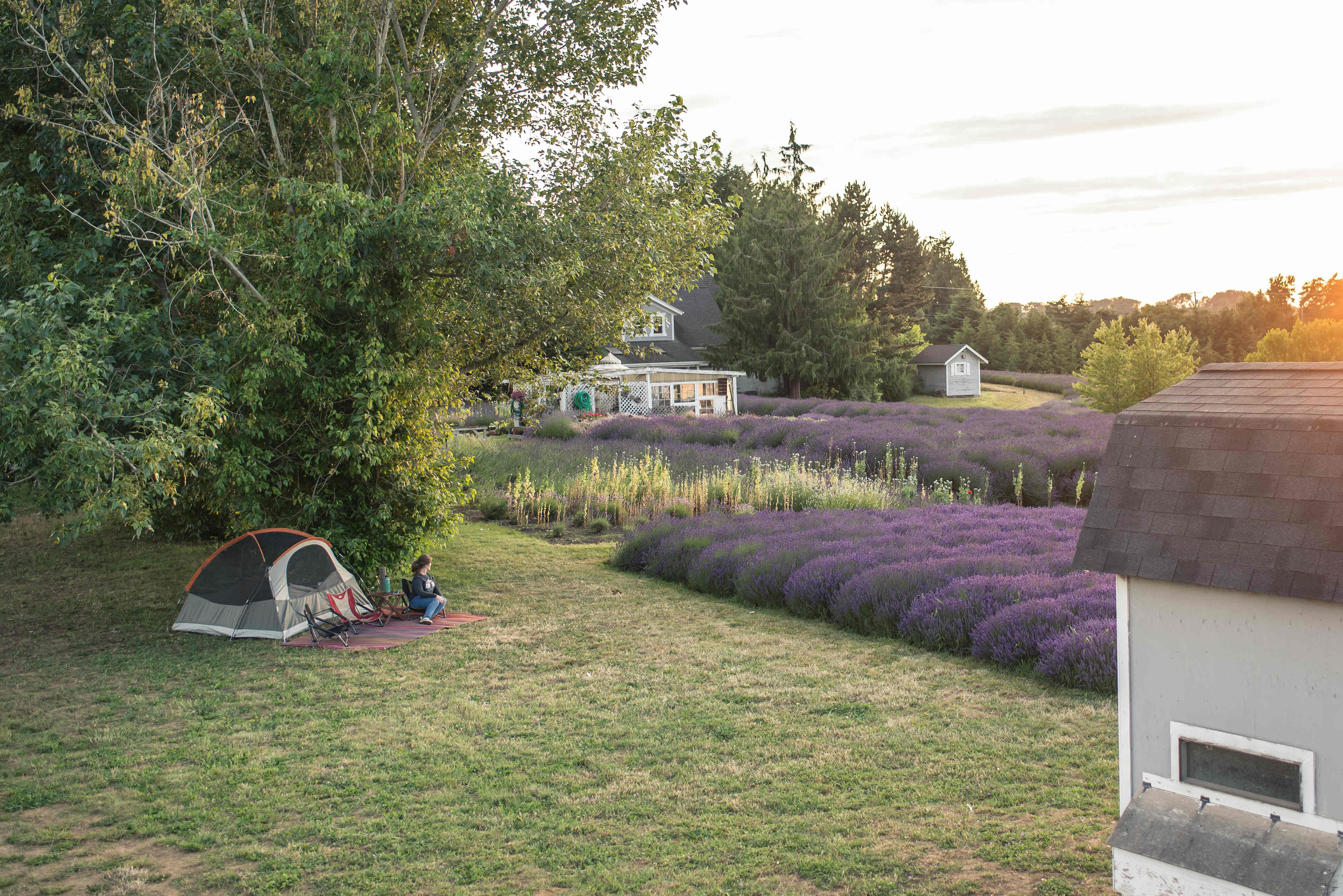 Truly the most relaxing campsite ever!