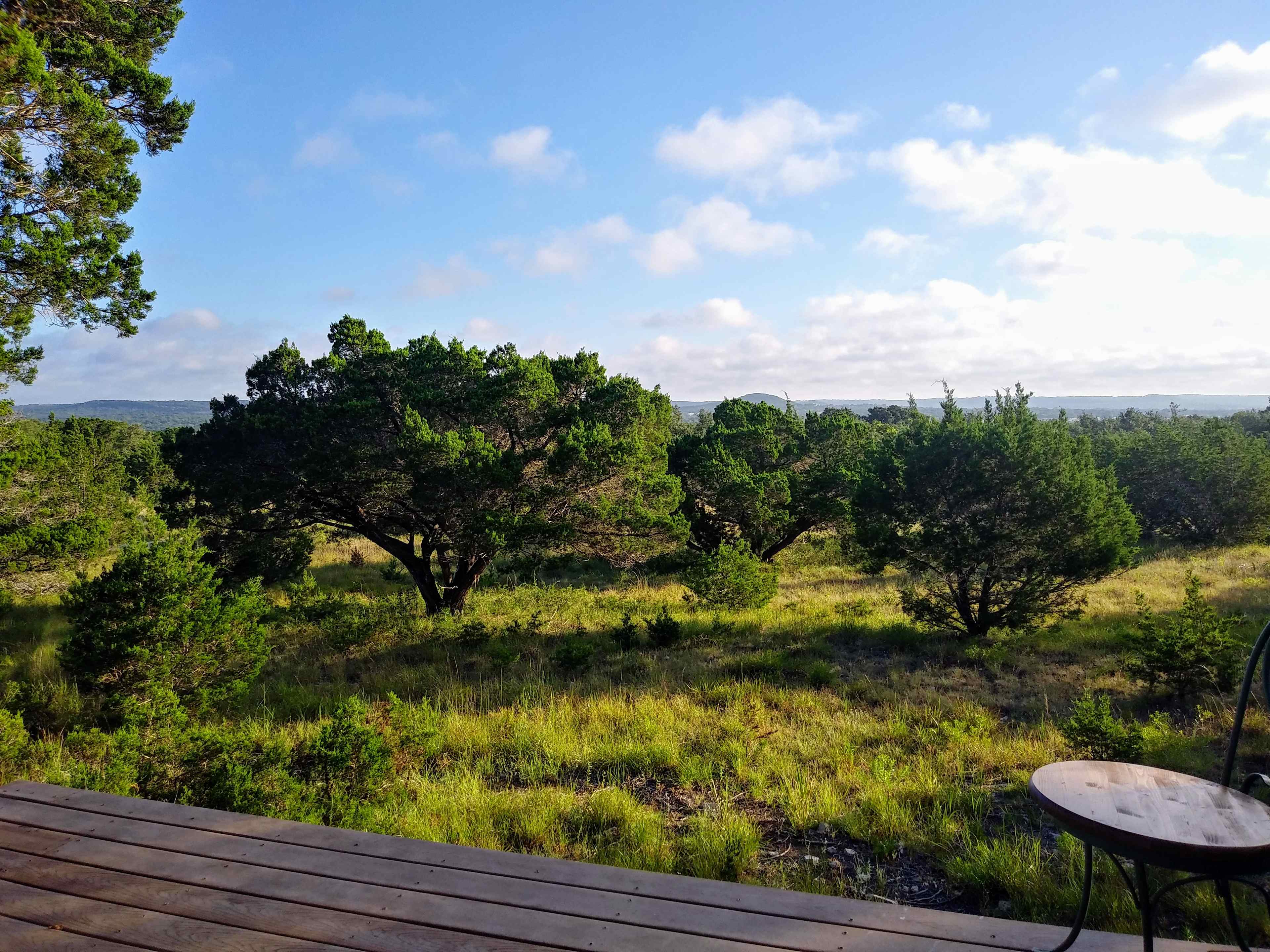 View from the front porch. 