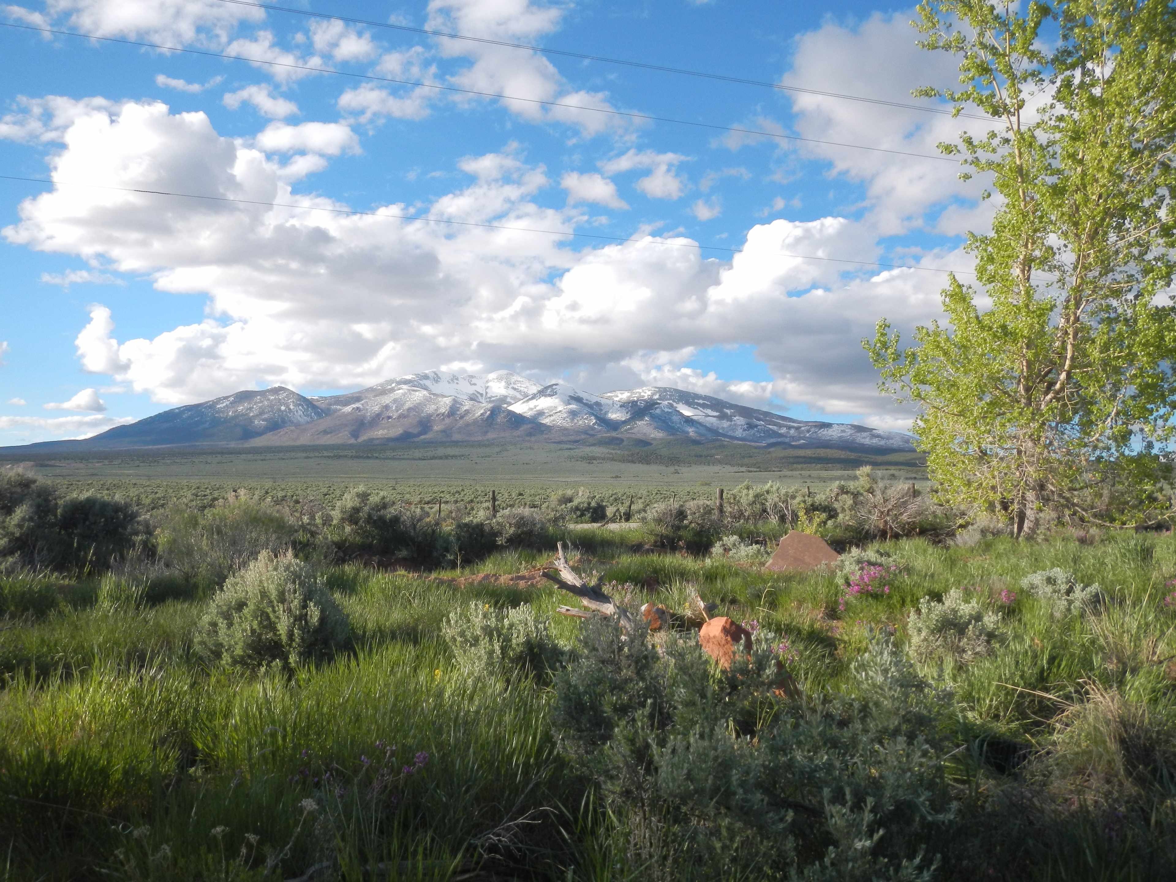 Here is the view to the North. All sites face this way. 