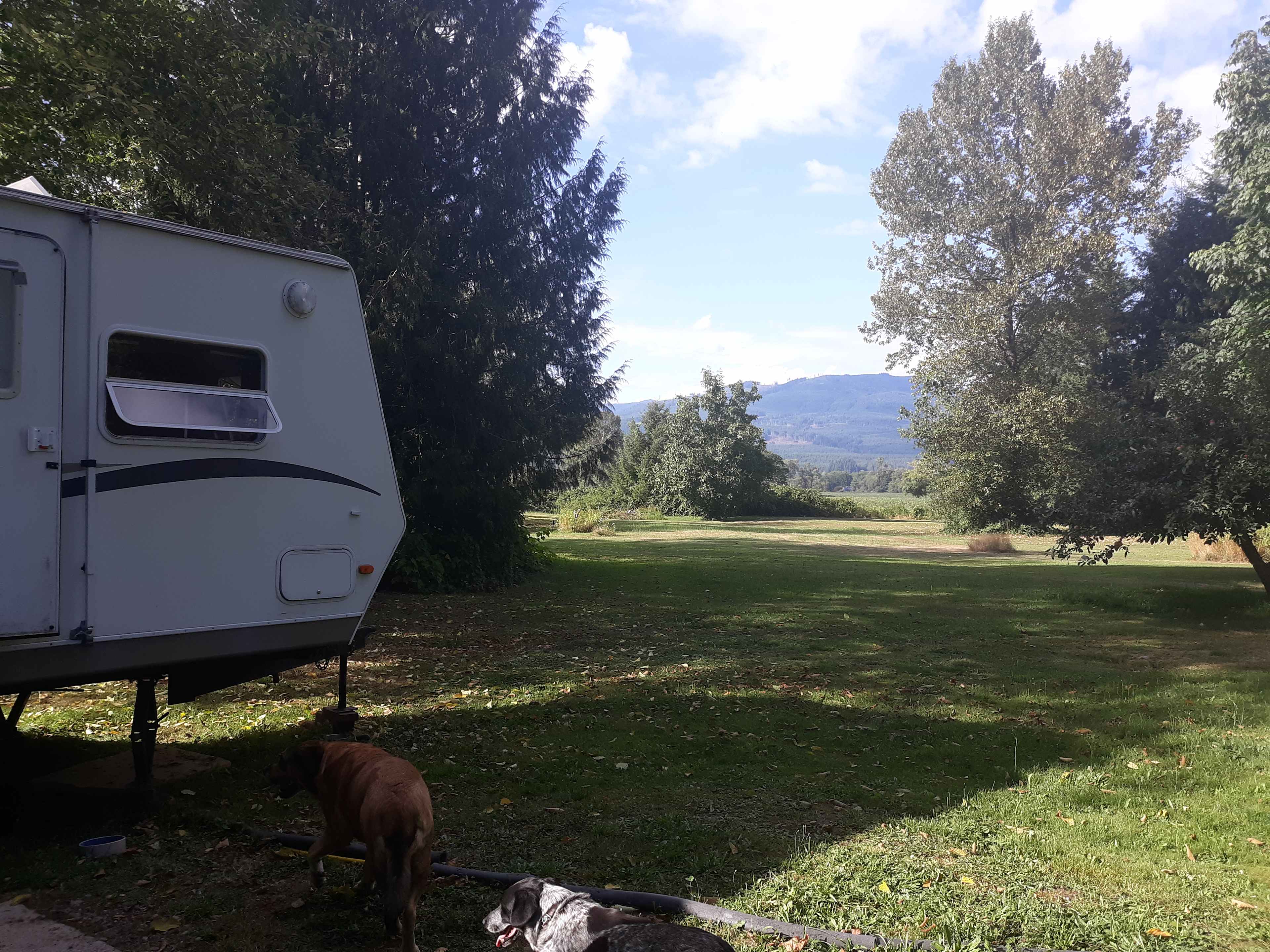 Skagit river camping and sauna