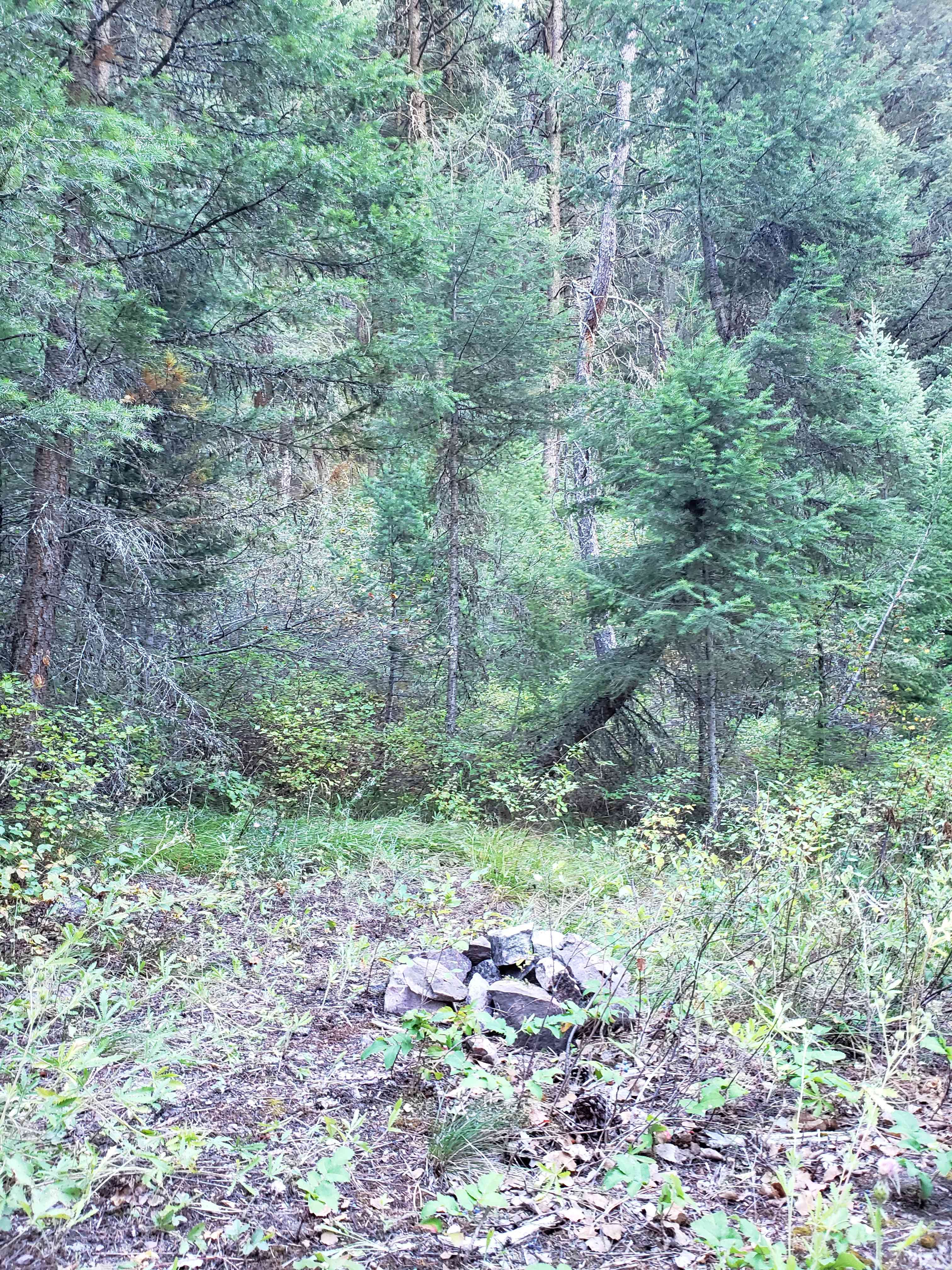 Small fires permitted, fire season dependent