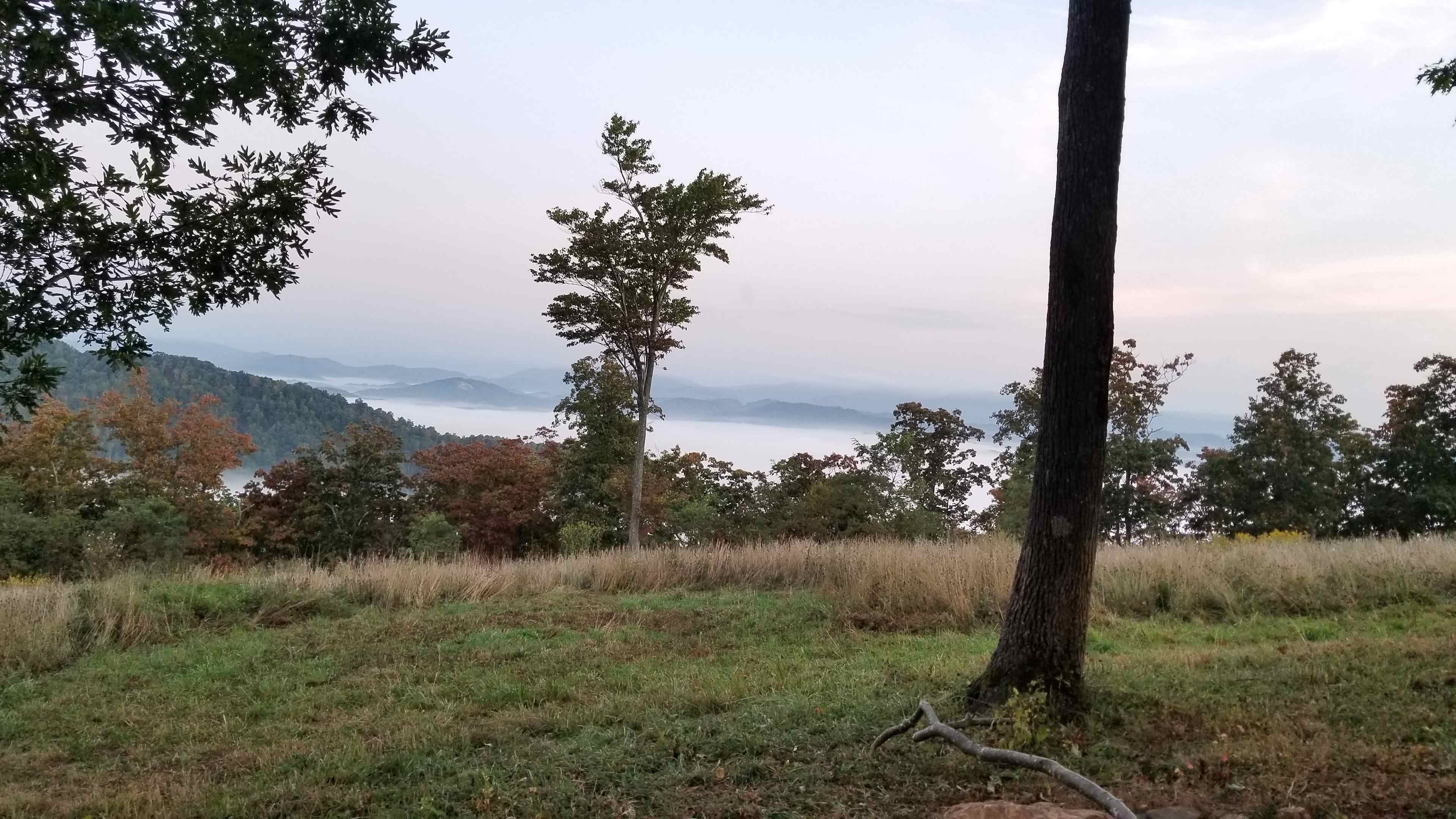 Fog in the valley below~