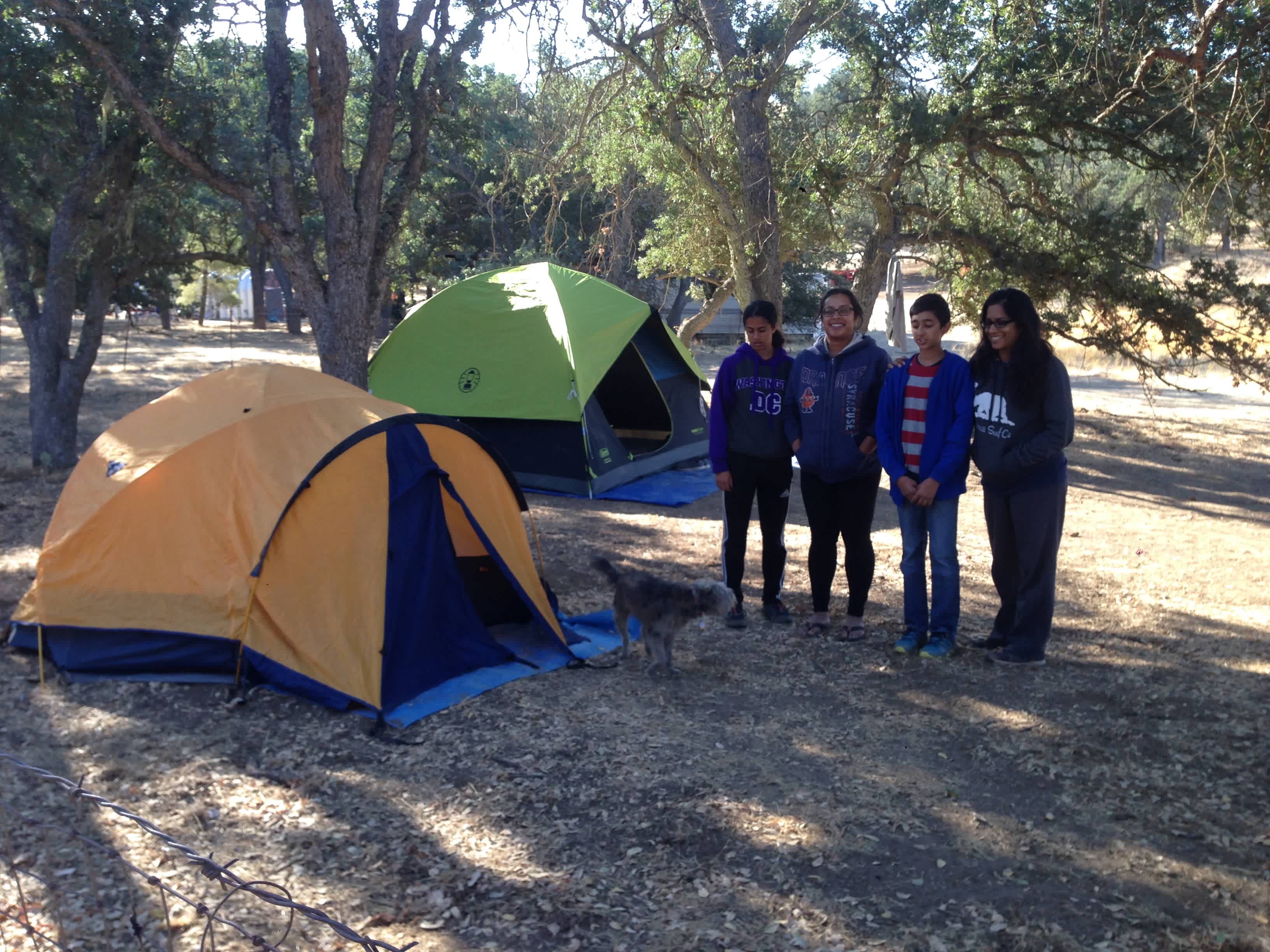 Campsite 4 - First and Second Generation from India