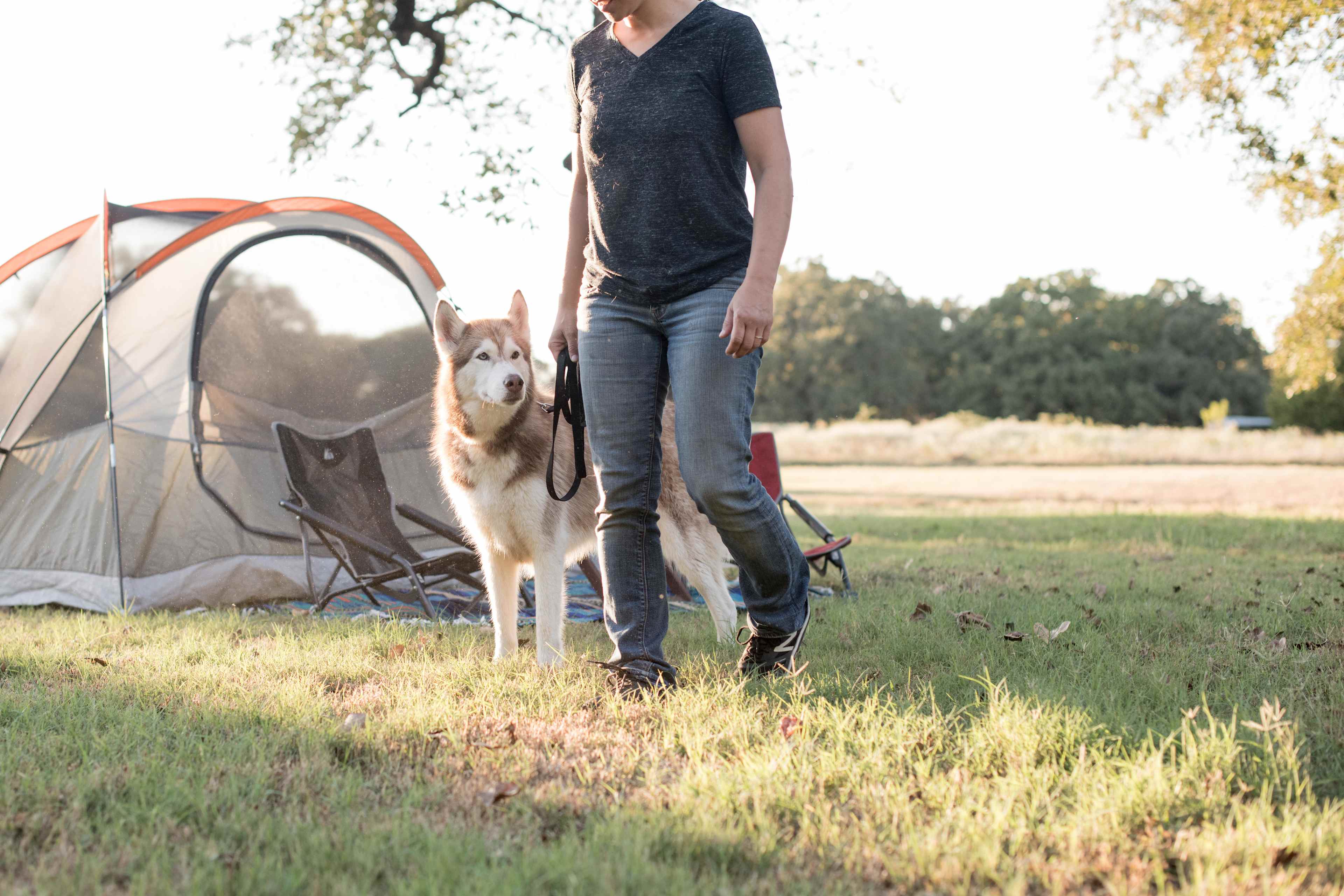 We love that the site is pet friendly!