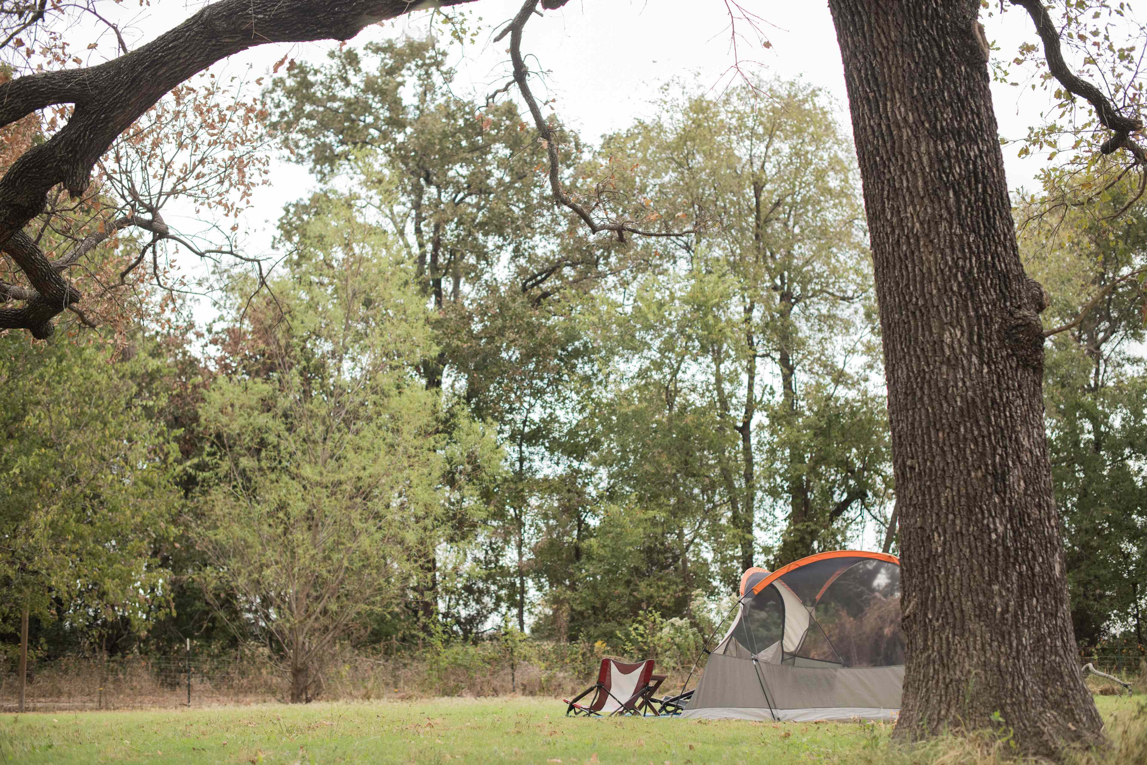 Quiet Spot on 3 Acres