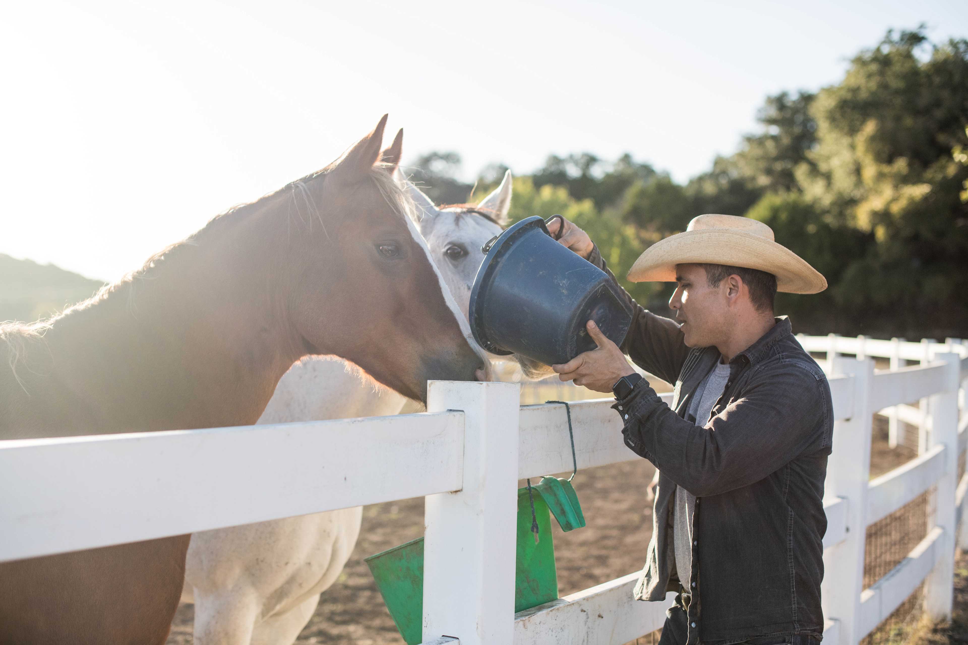 HomeAway Ranch & Wildlife Preserve