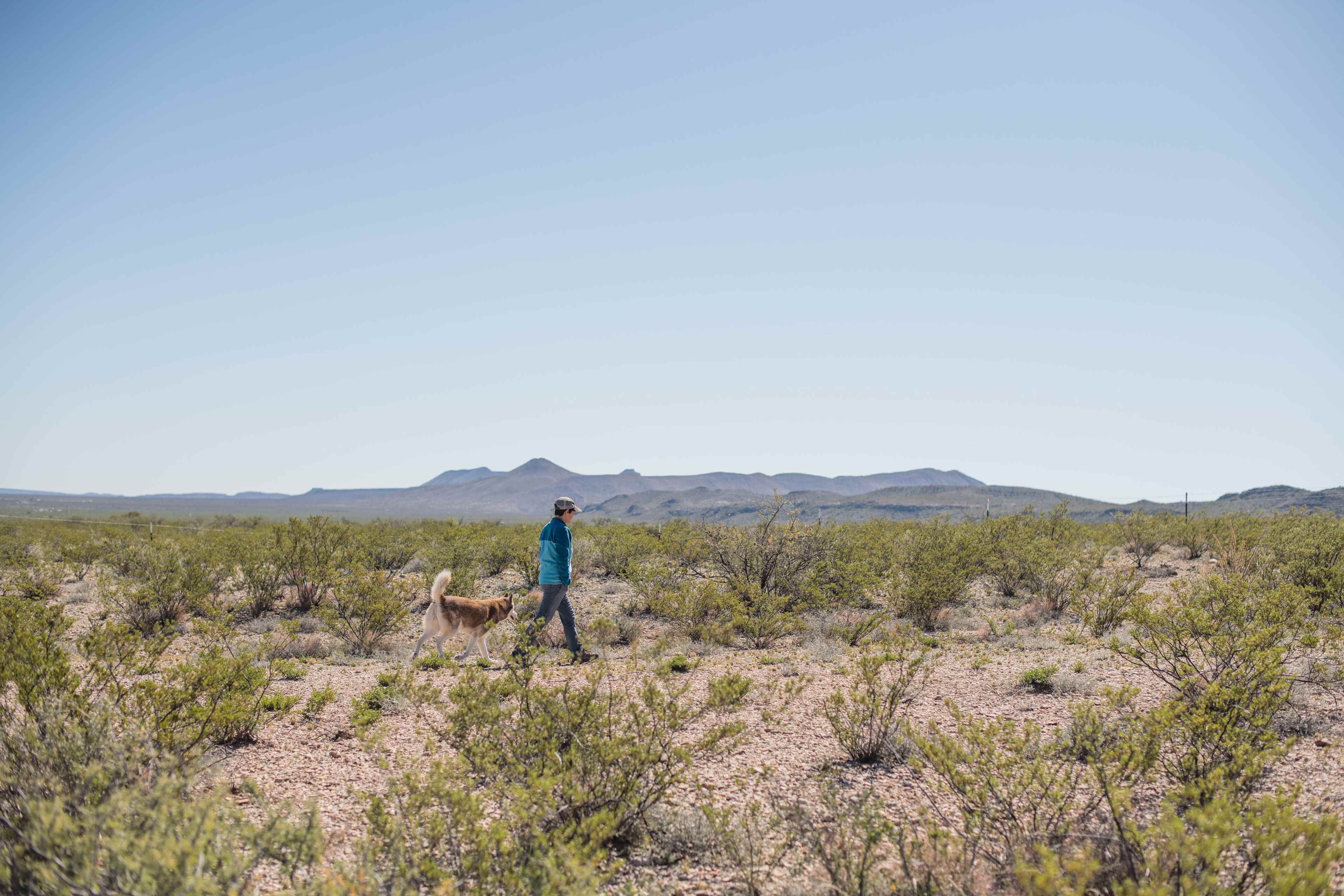 Beautiful desert in every direction to explore!