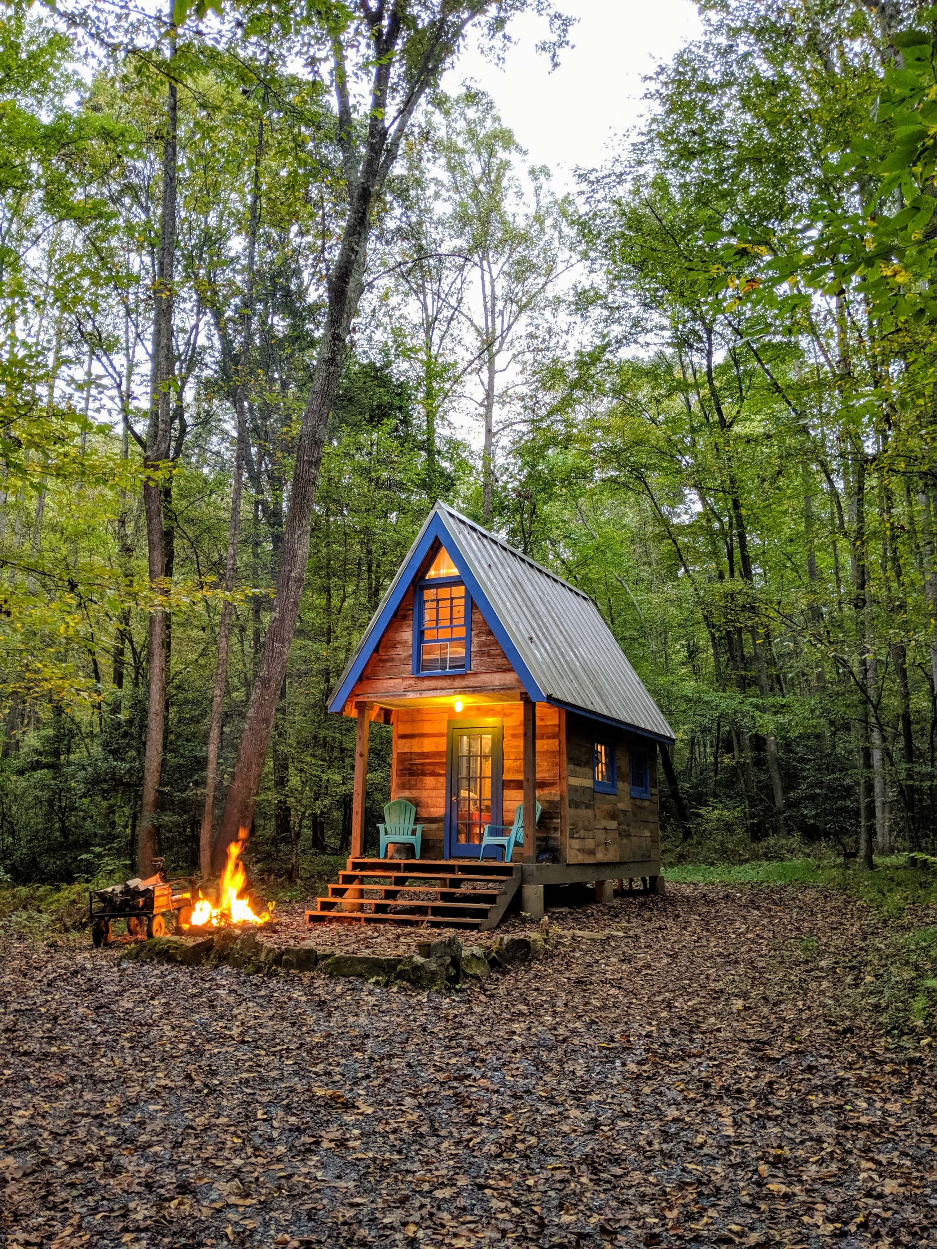 Private woods located in the Ripshin Mountains