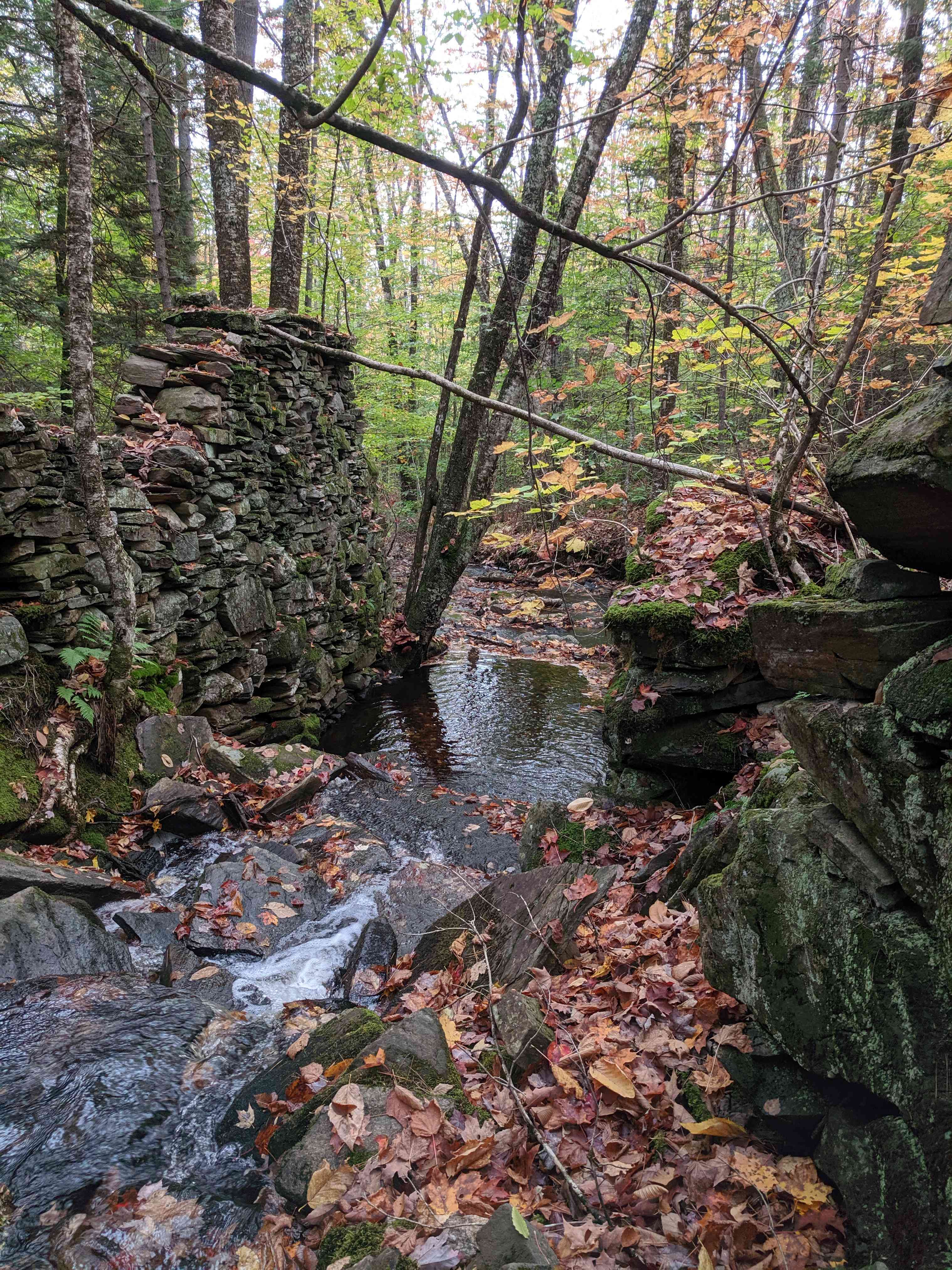 Secluded Back Country Camping
