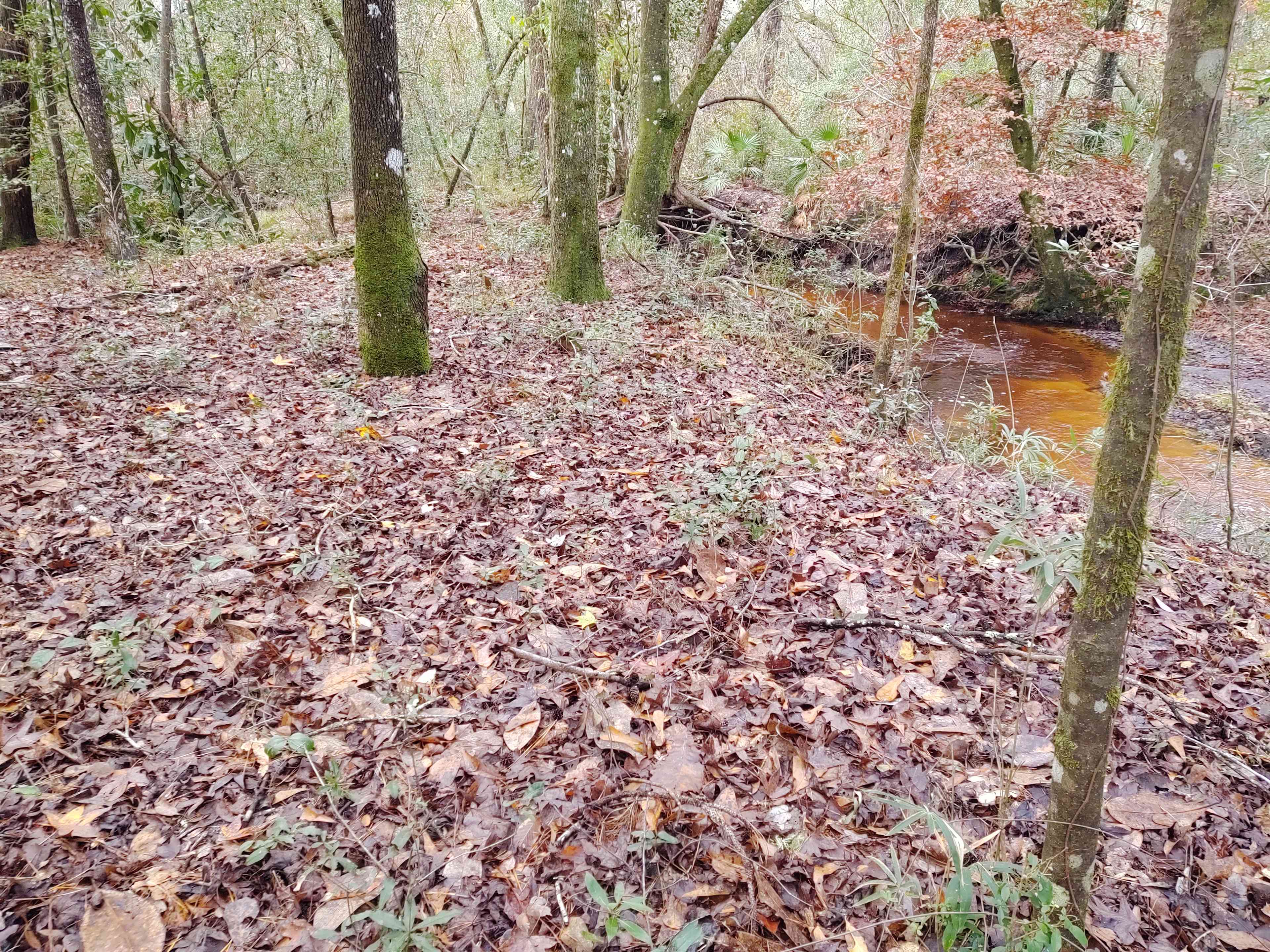 A secluded spot for a tent!