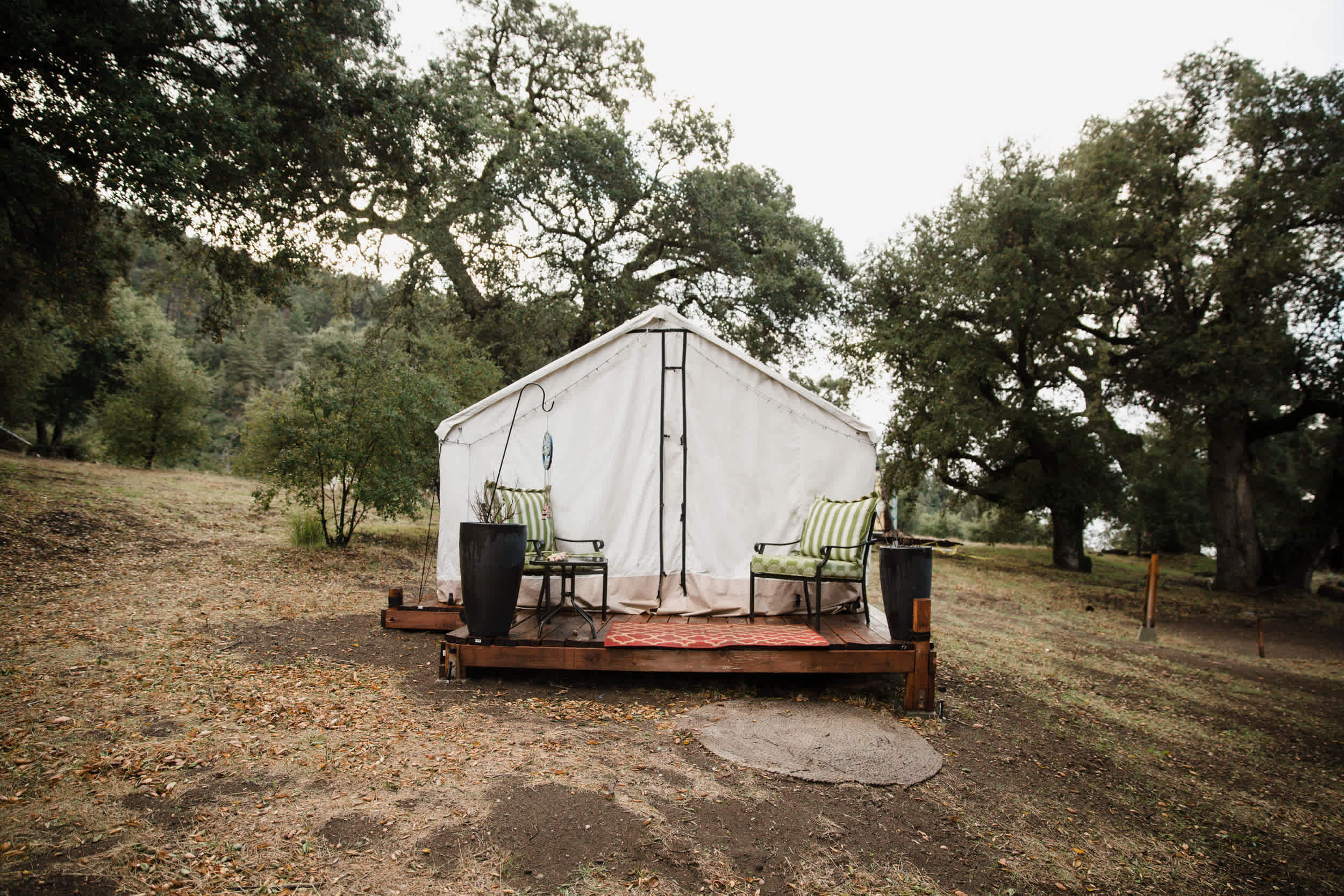 Magical Harrison Serenity Ranch
