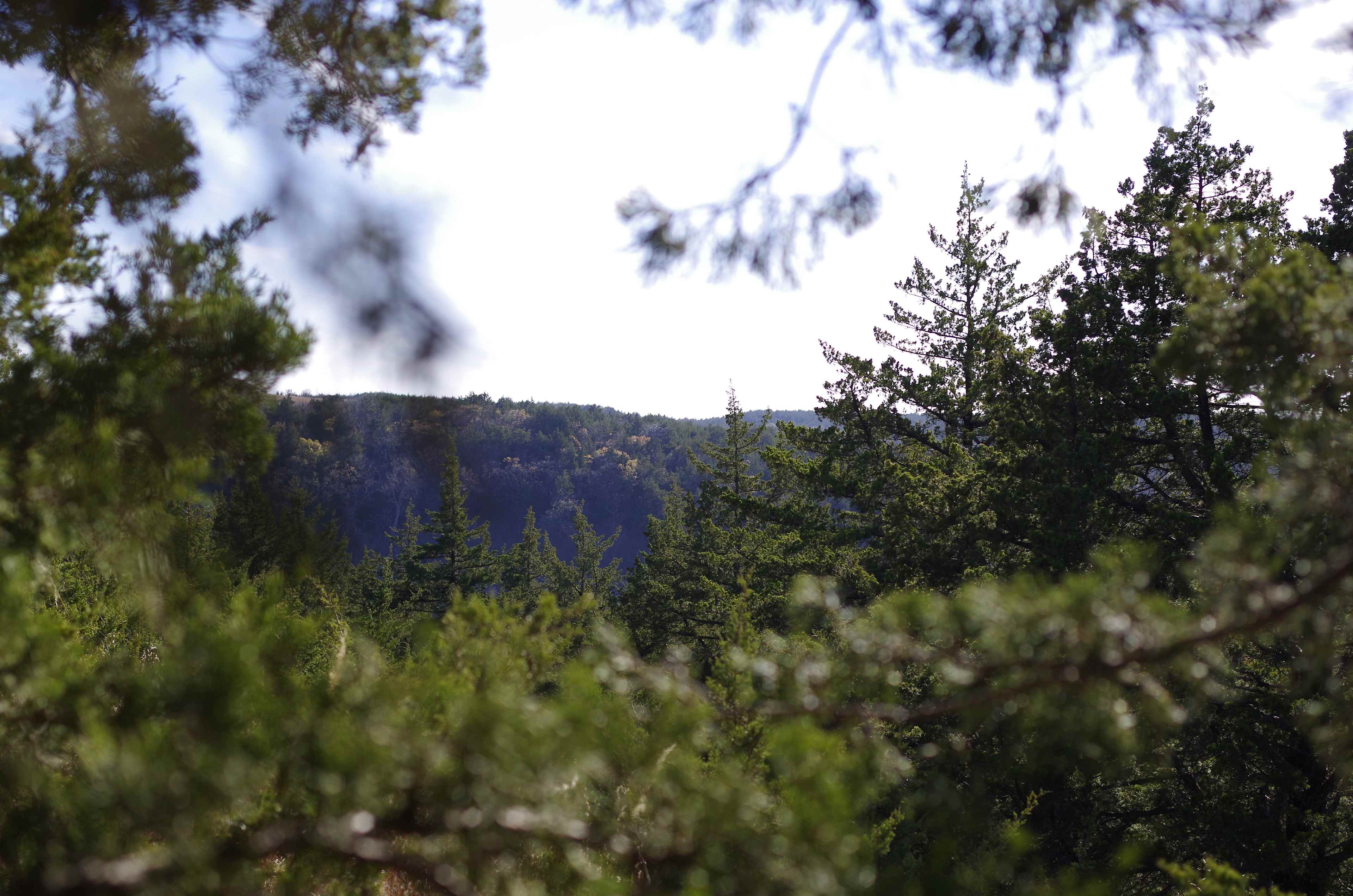 Blue Vista KS Lakeside Getaway
