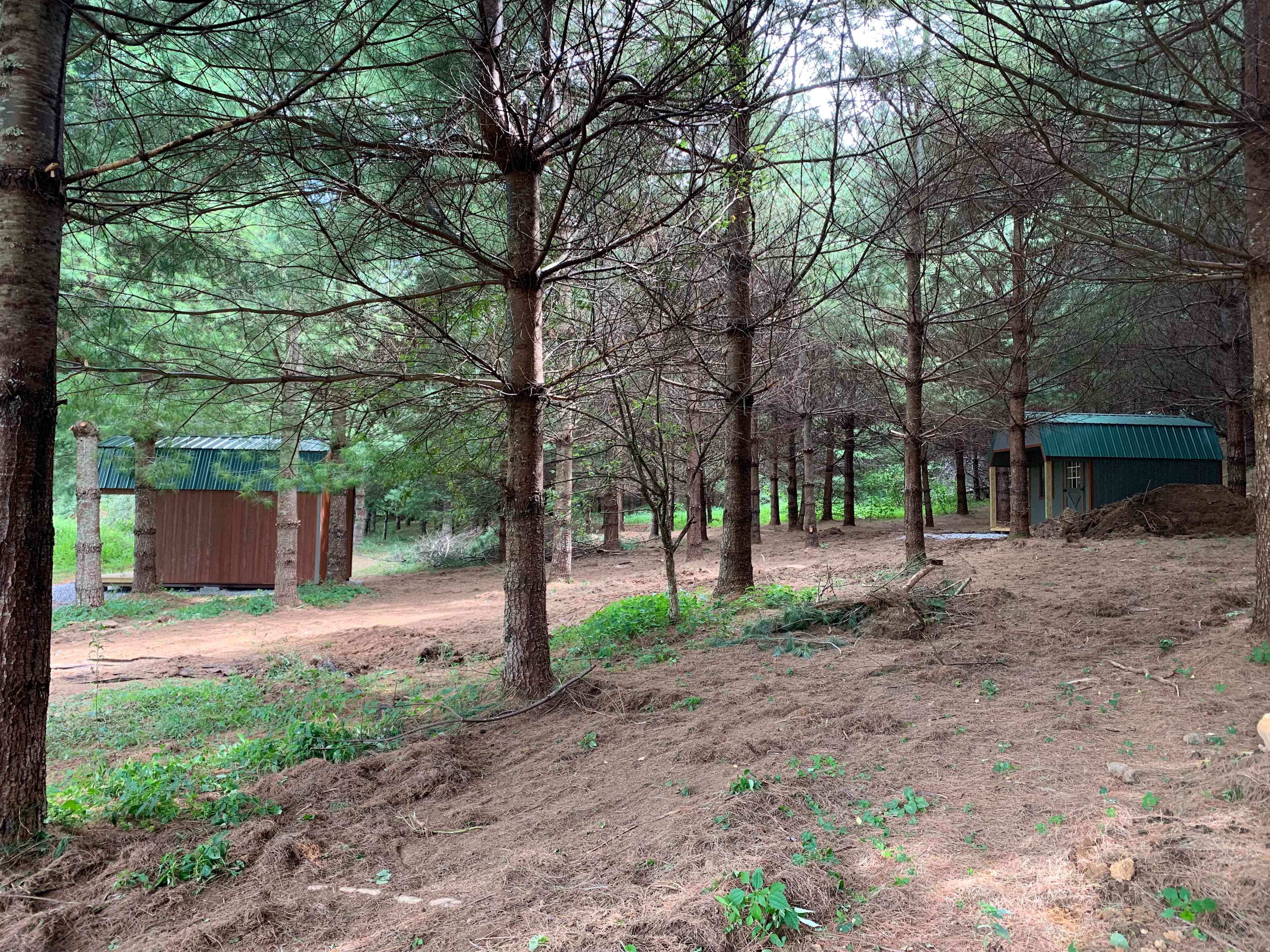 Our 2 tiny cabins