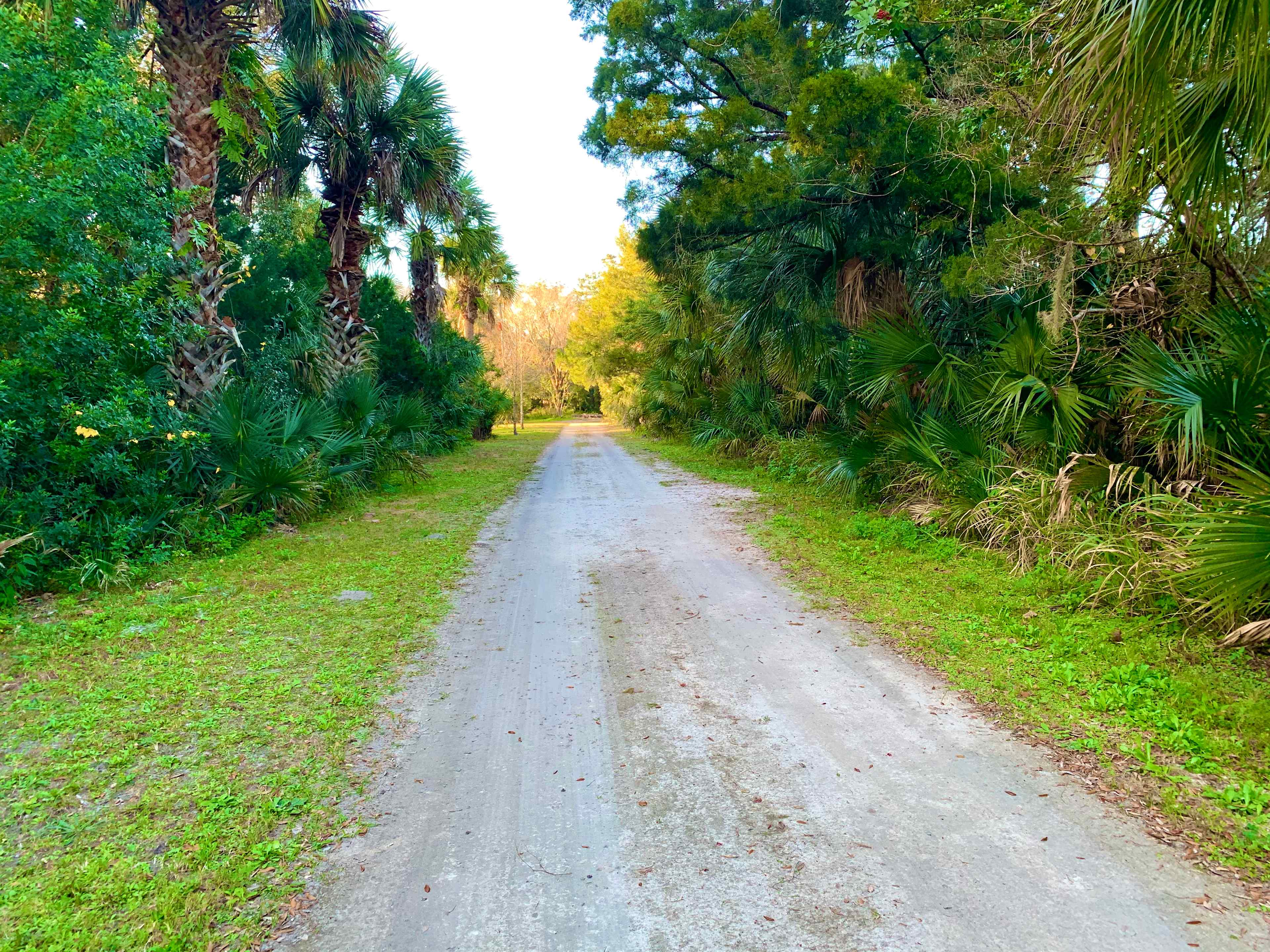 Road headed to Camp Shiloh. Destination is 1000 ft on left. 