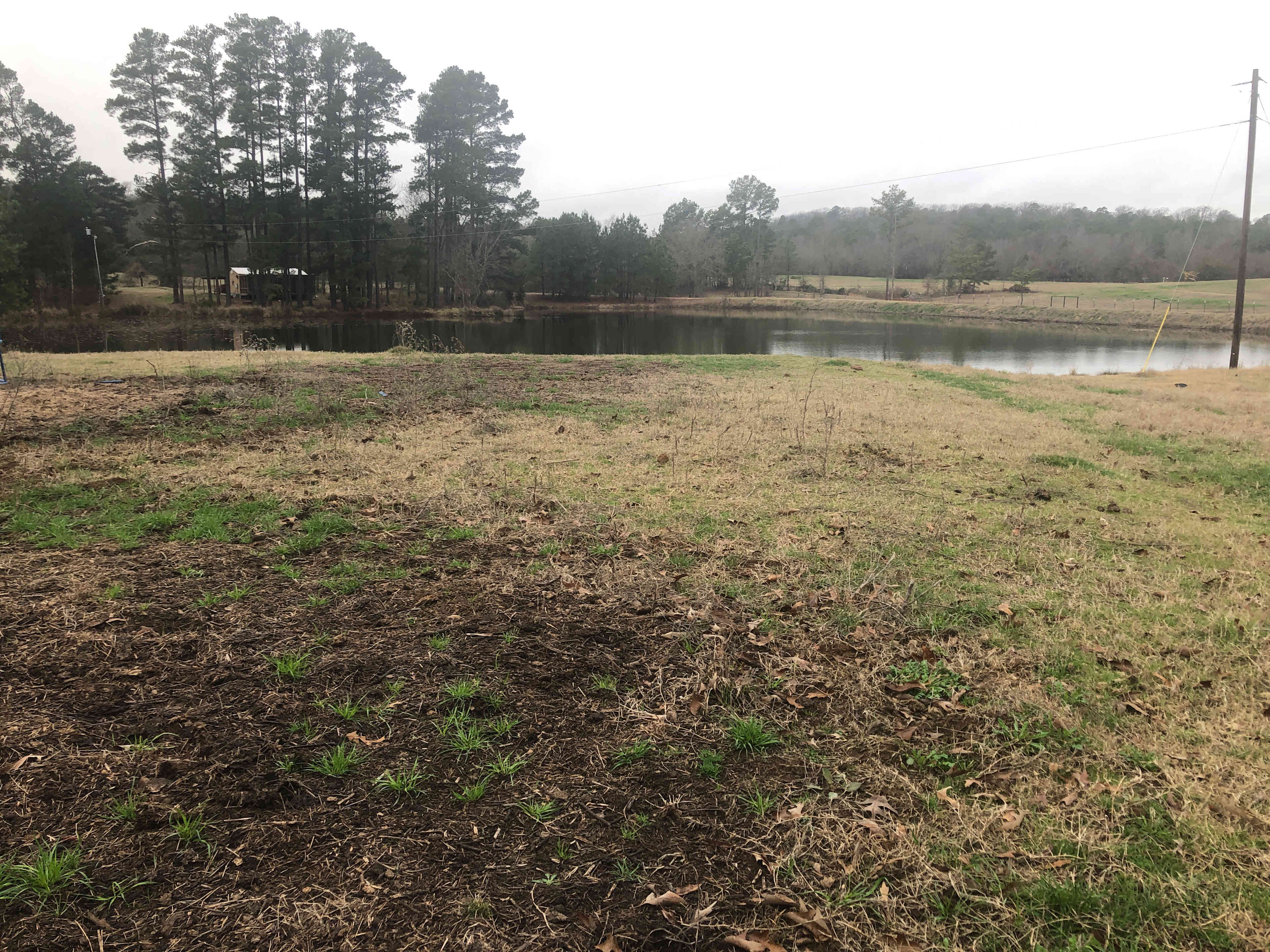 The camp site with view of the pond. The cabin in the background is not part of the package (it is occupied).