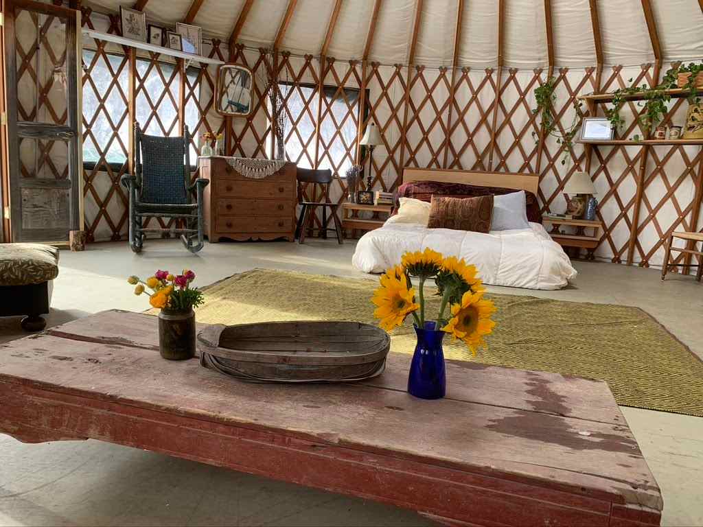 cozy yurt in the woods