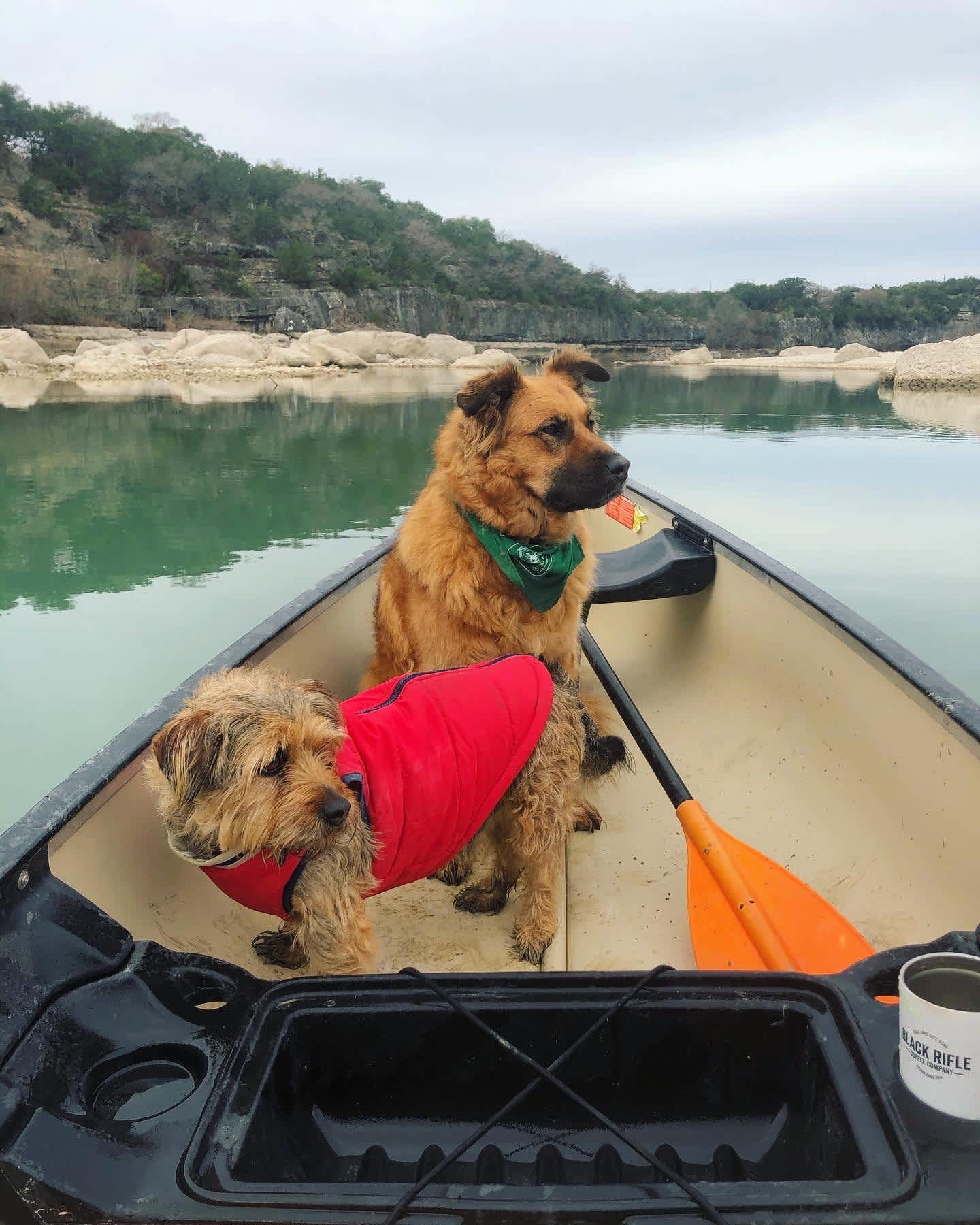 This stretch of the Medina was calm and paddling West/Northwest yields cliffside views and a fun creek. 