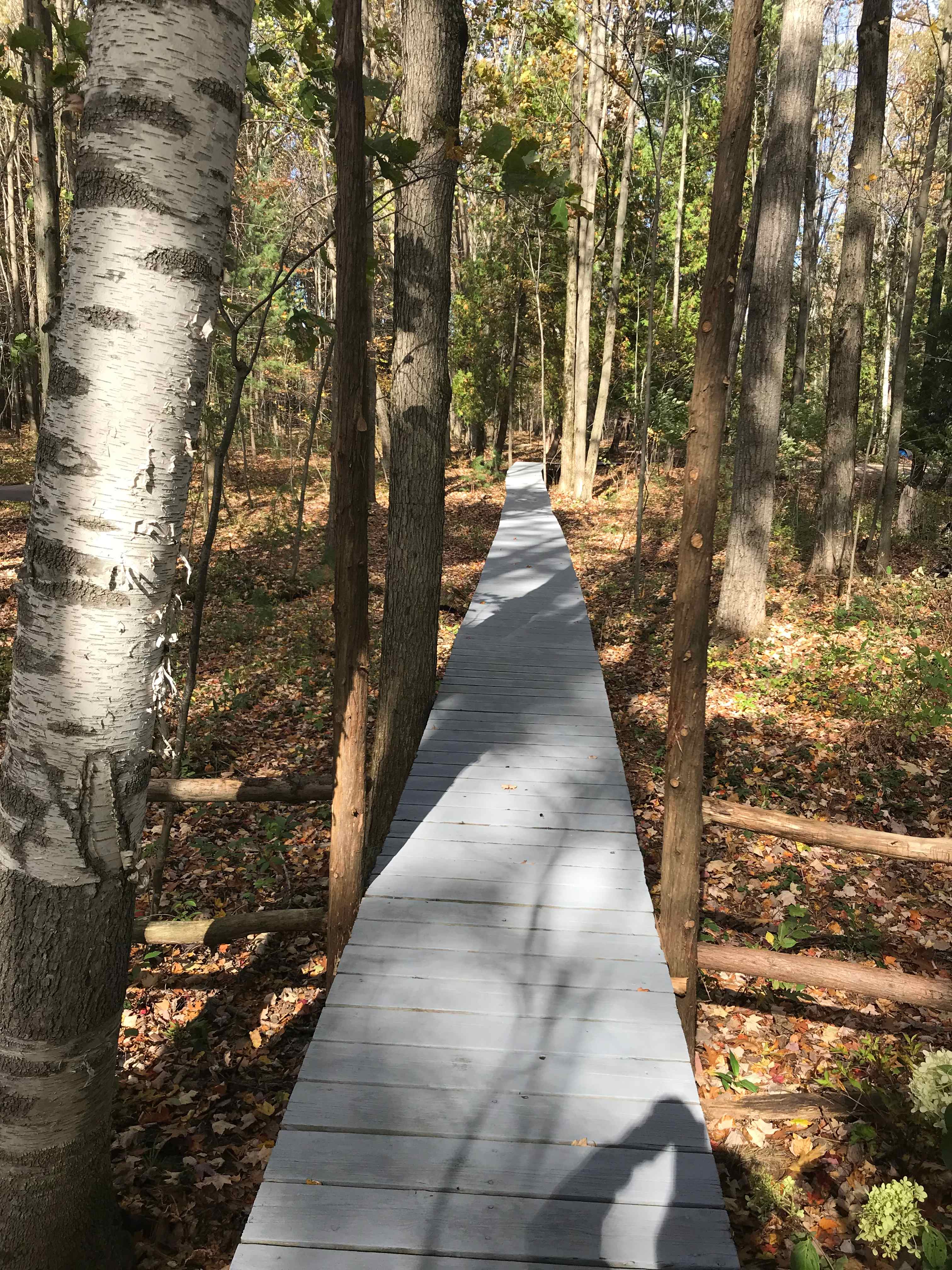 Boardwalk