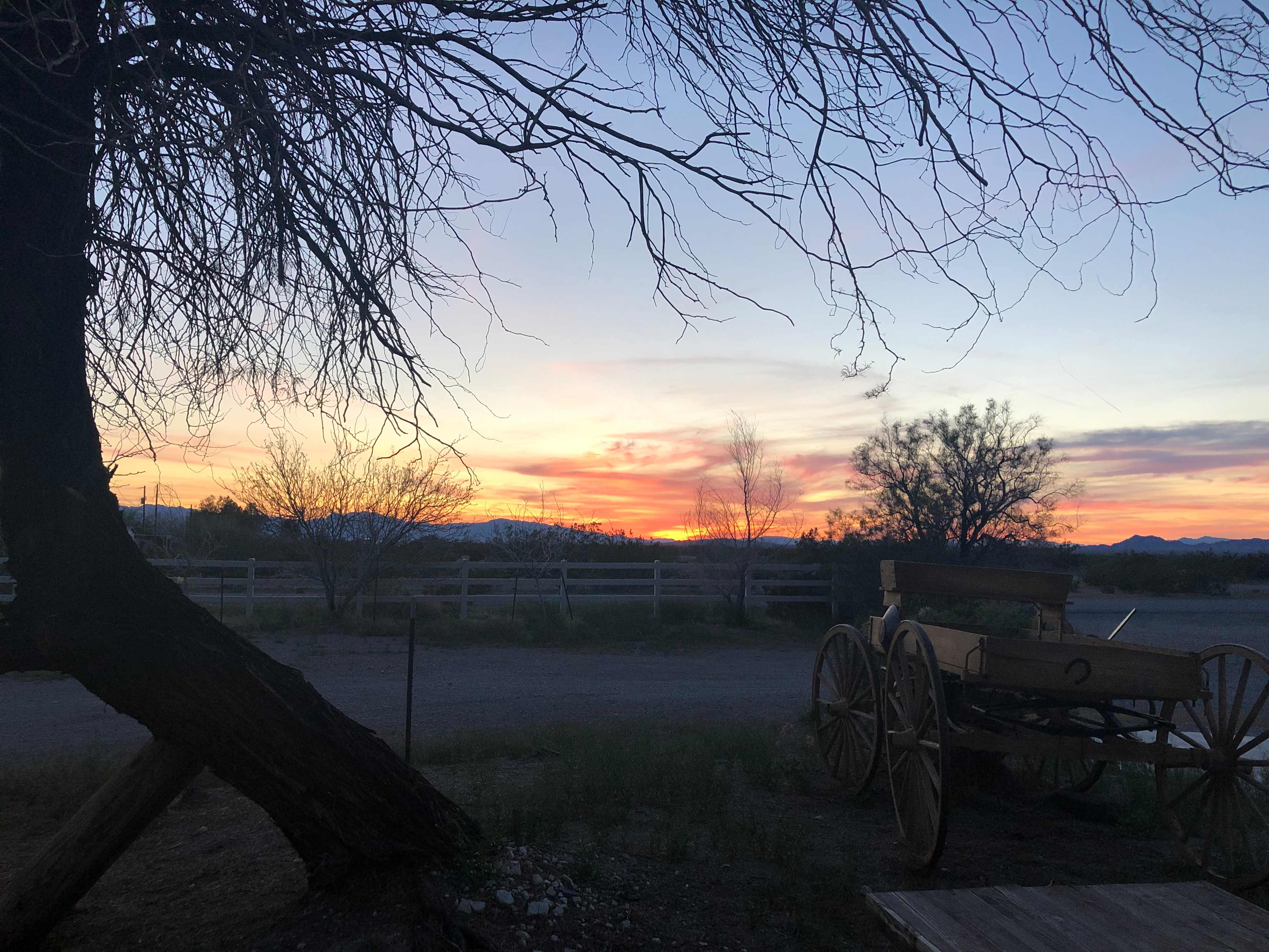 Sunset in the picnic area side of the bar. 