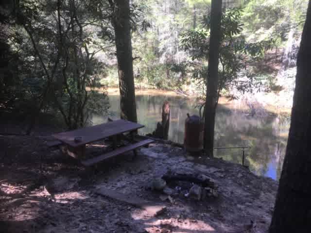 Adin`s river cabin