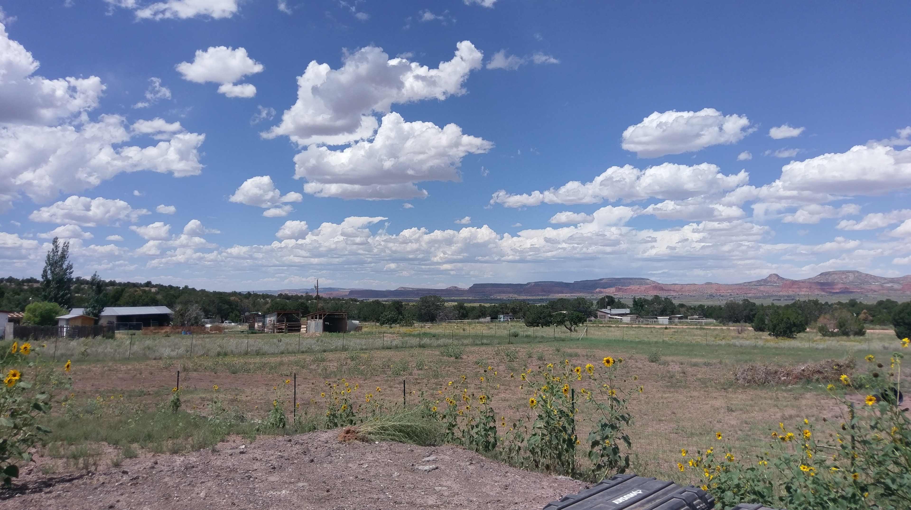 Western Skies