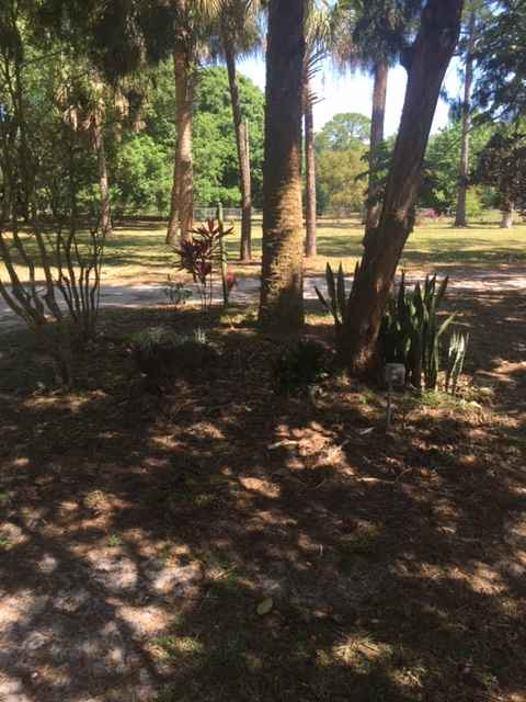 Country Setting Camp
