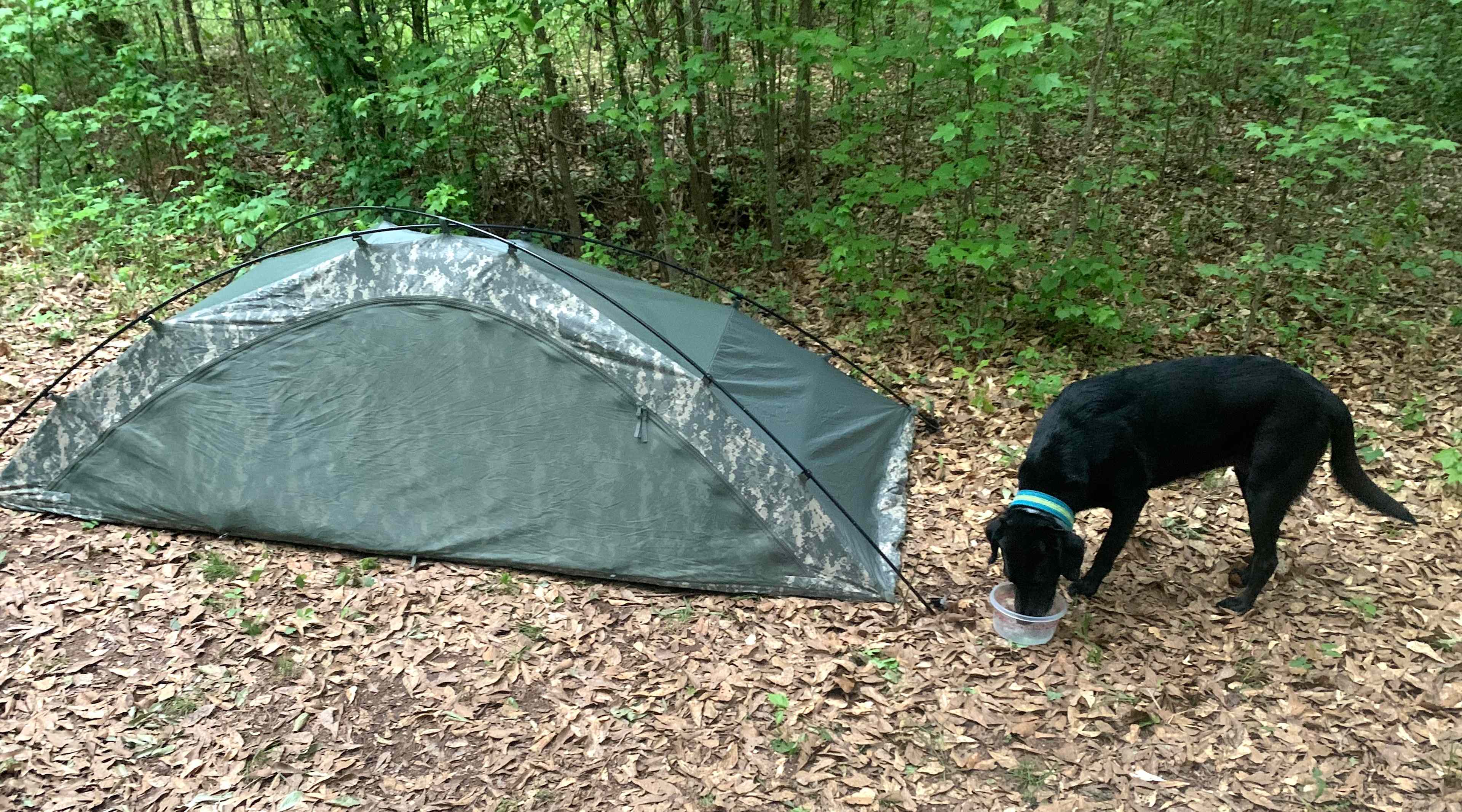 New take on a pup tent. LOL