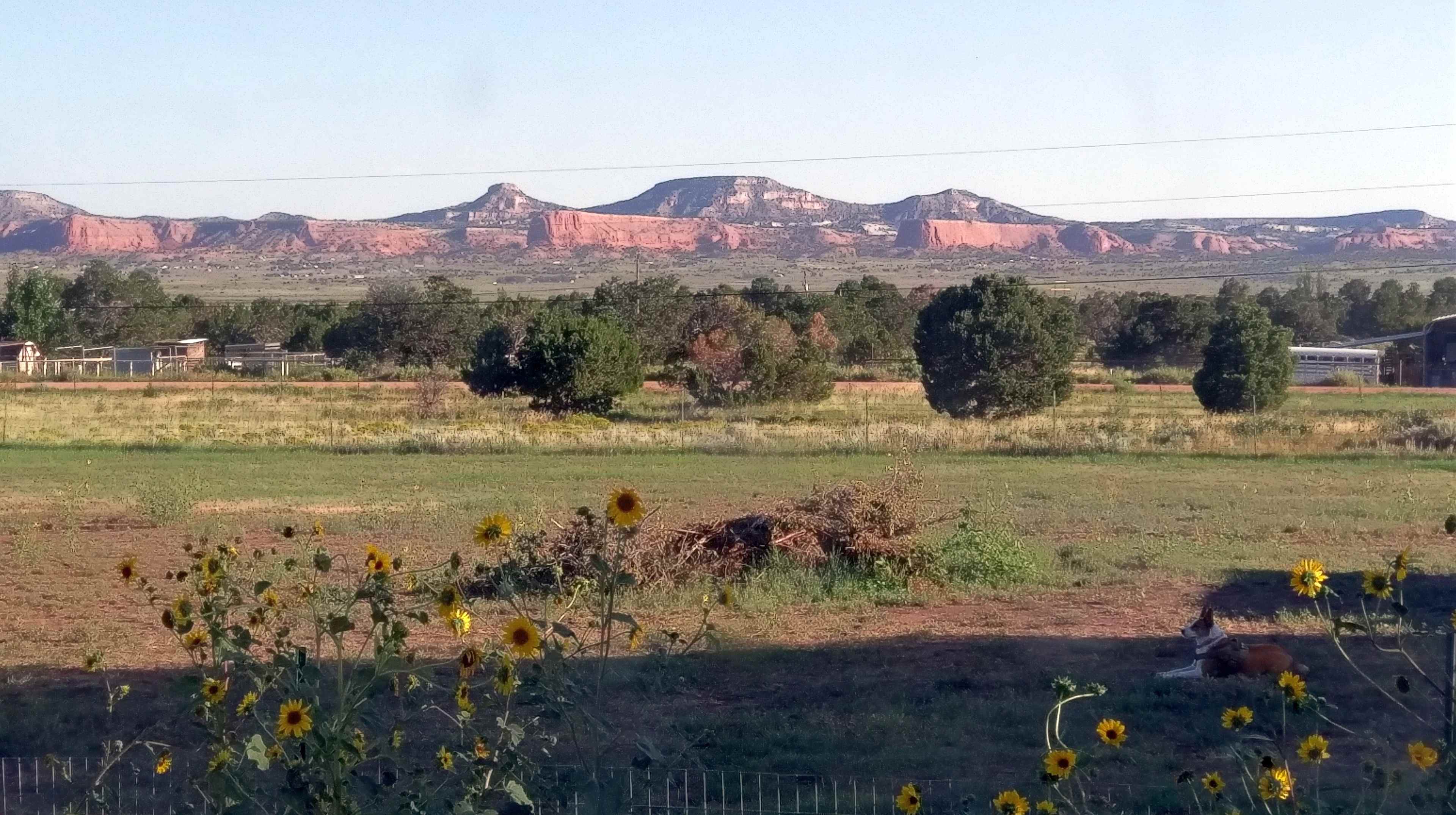 View from the camping site