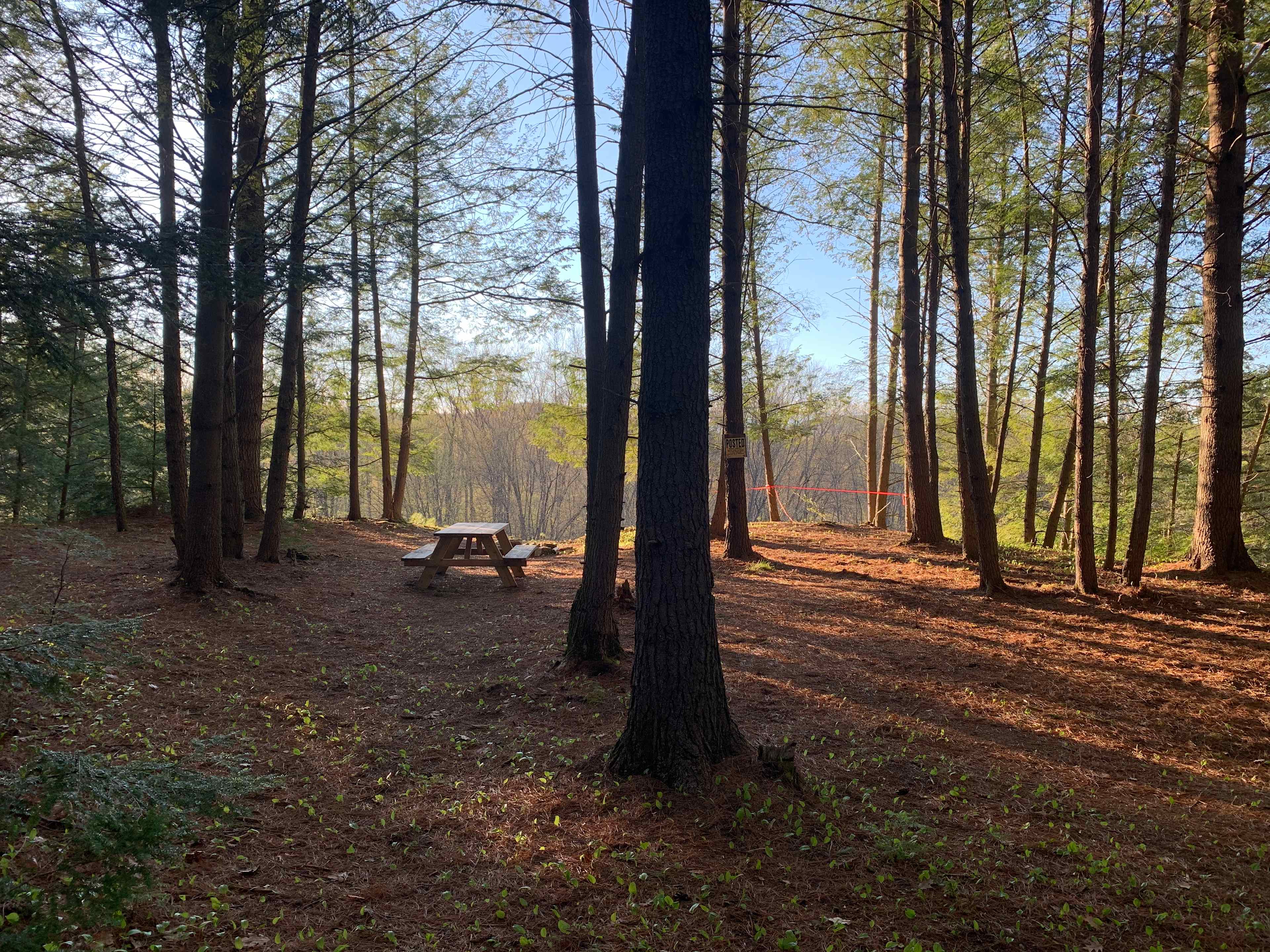 Site 1
