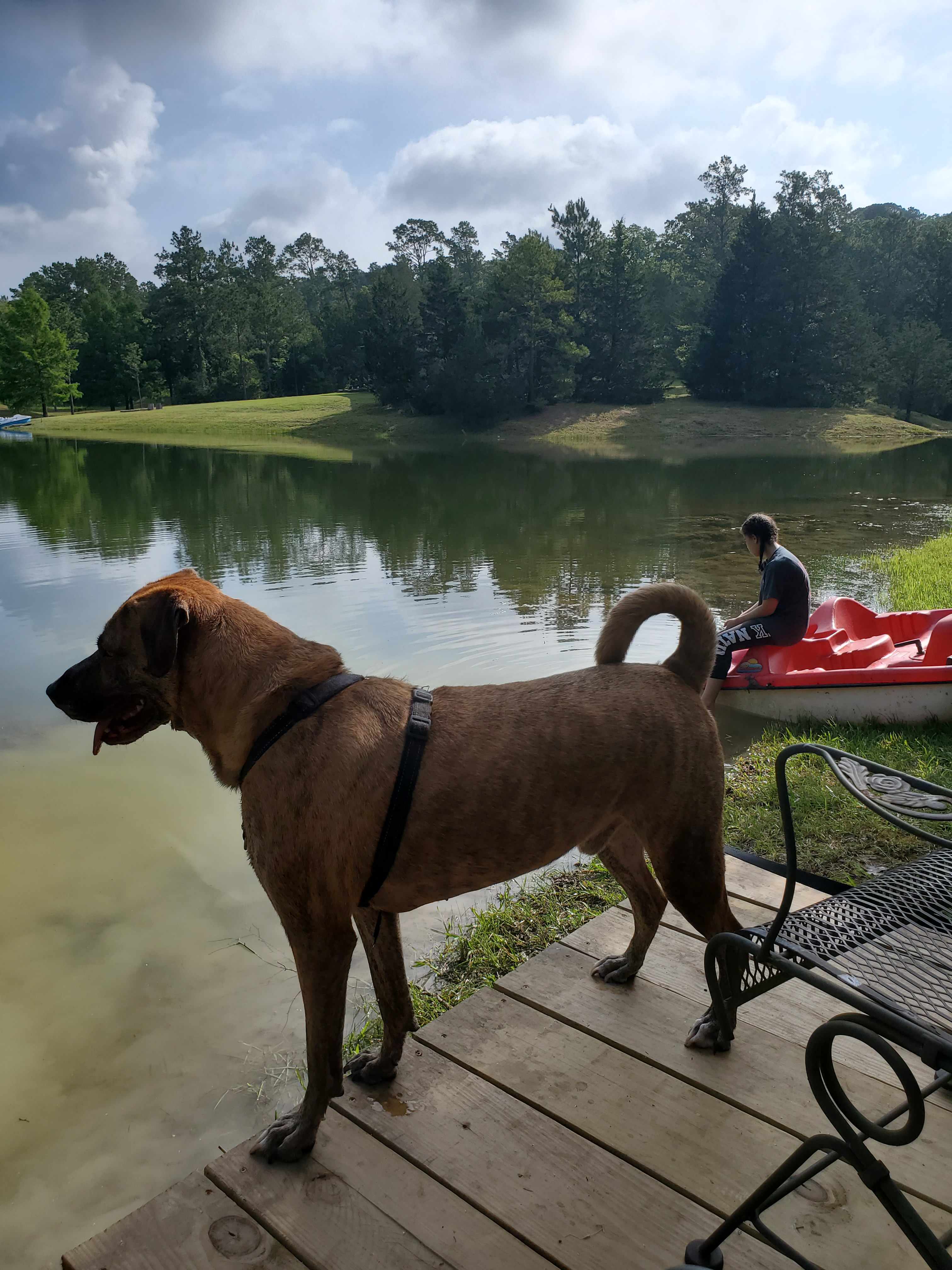 The Honey Hole
