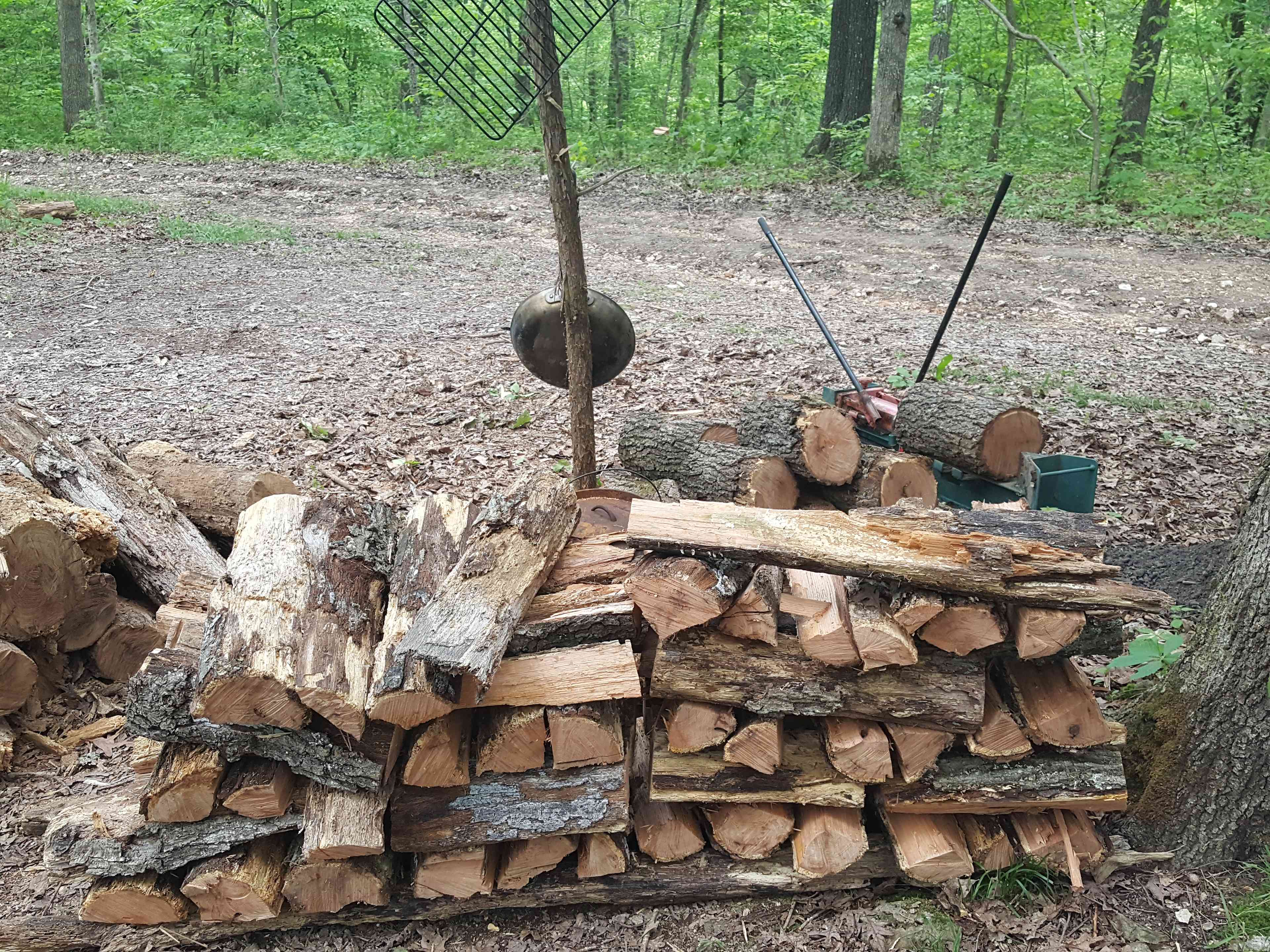 Firewood