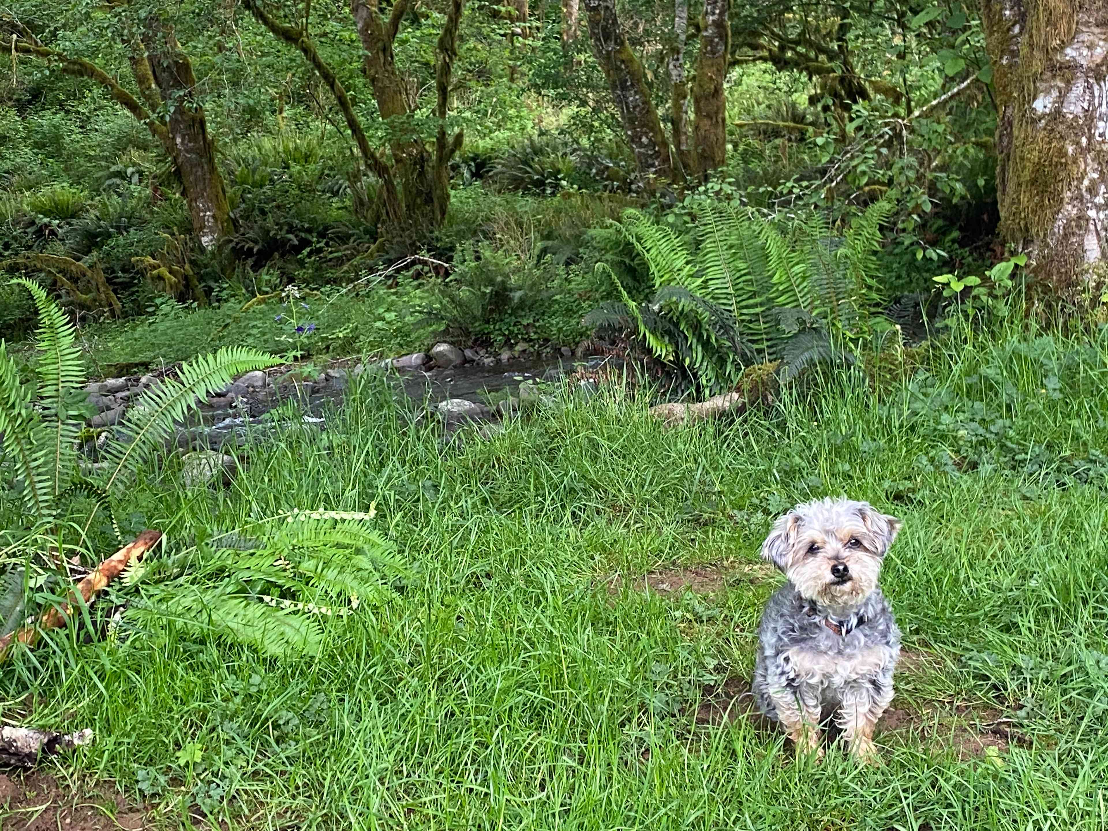 Powder Creek Campground