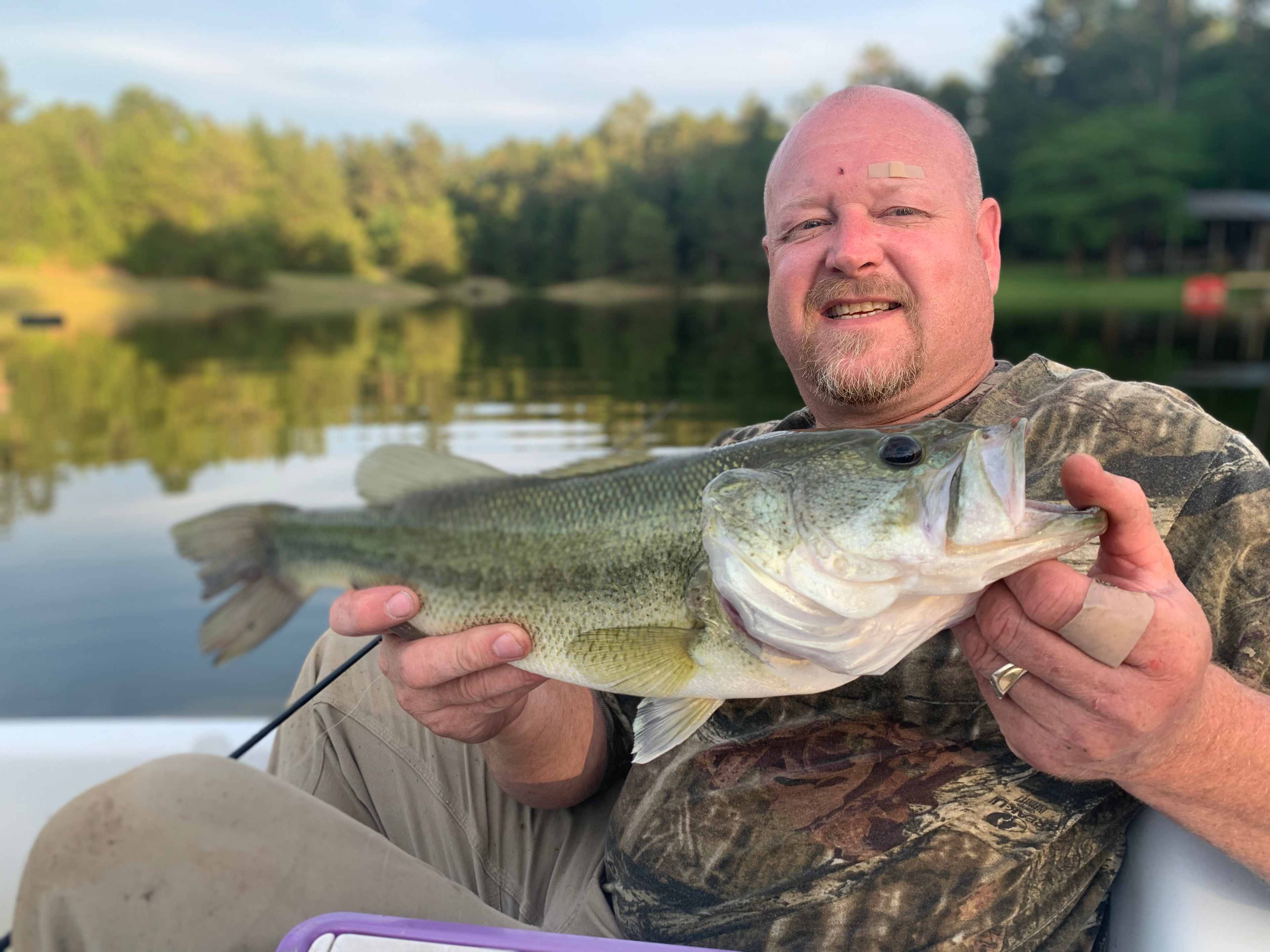 Nice Size Bass caught in our pond.  You may catch & release or Catch & Eat.  Catch and Eat has to 12" - 14" - Bass, 7" Blue Gill, Sun Perch & Tilapia
